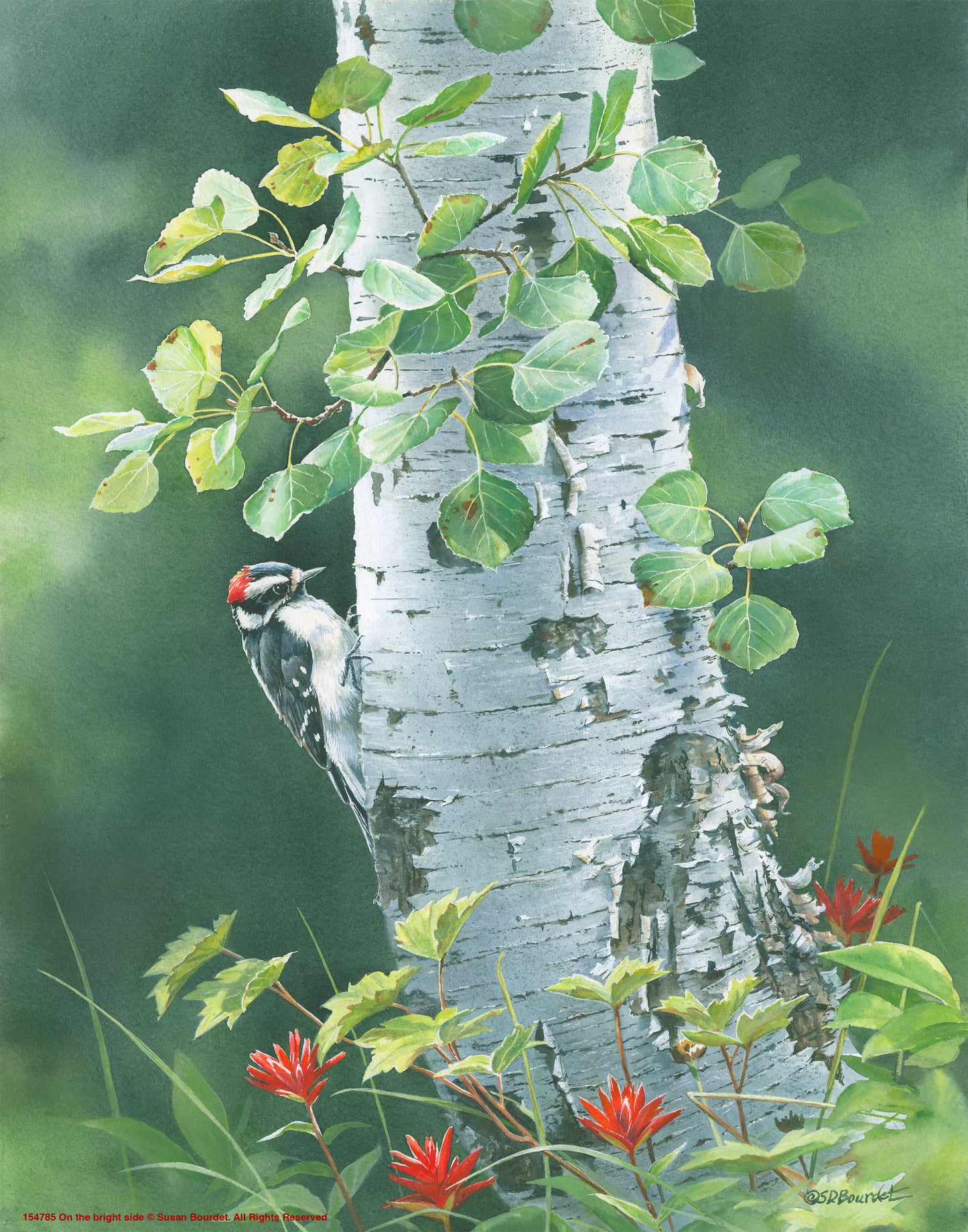 On the Bright Side - Art Prints