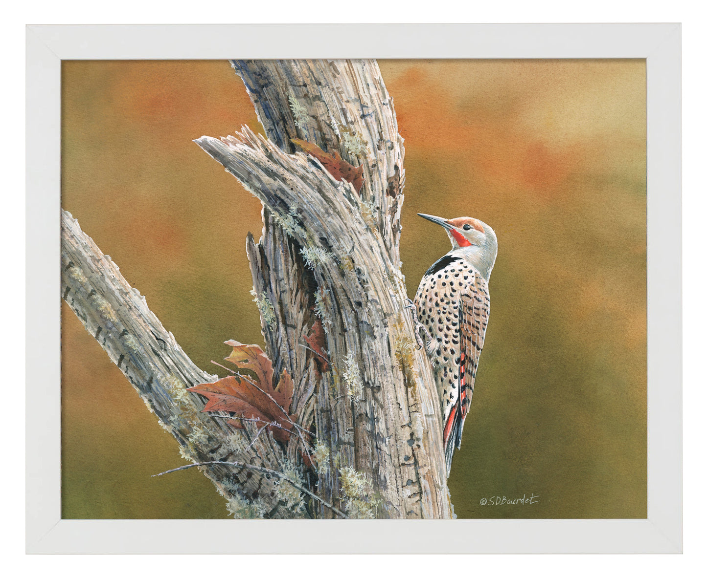 154796_Flicker’s Feast_11x14_FRA_WHITE 102641.jpg