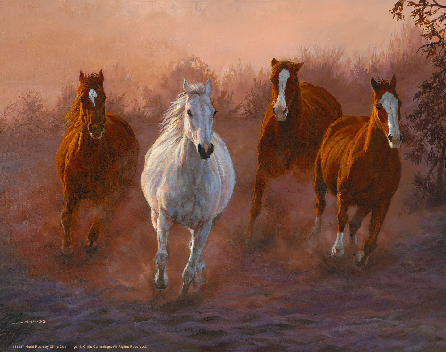 Gold Rush - Art Prints