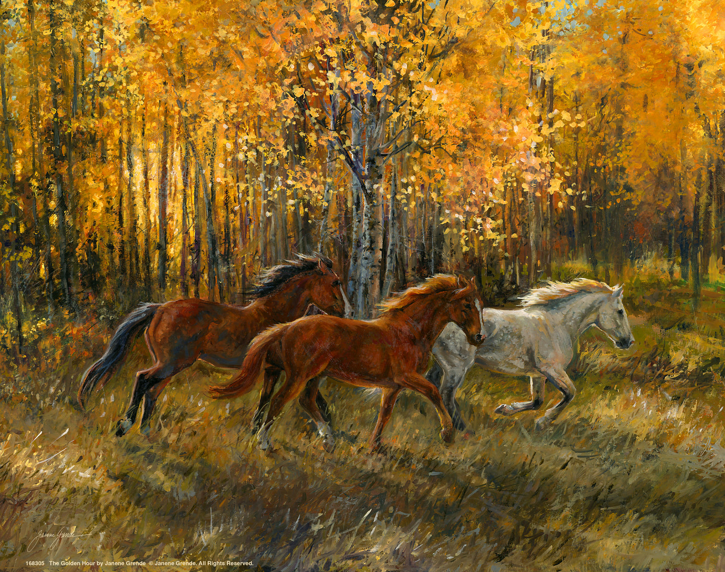 The Golden Hour - Art Prints