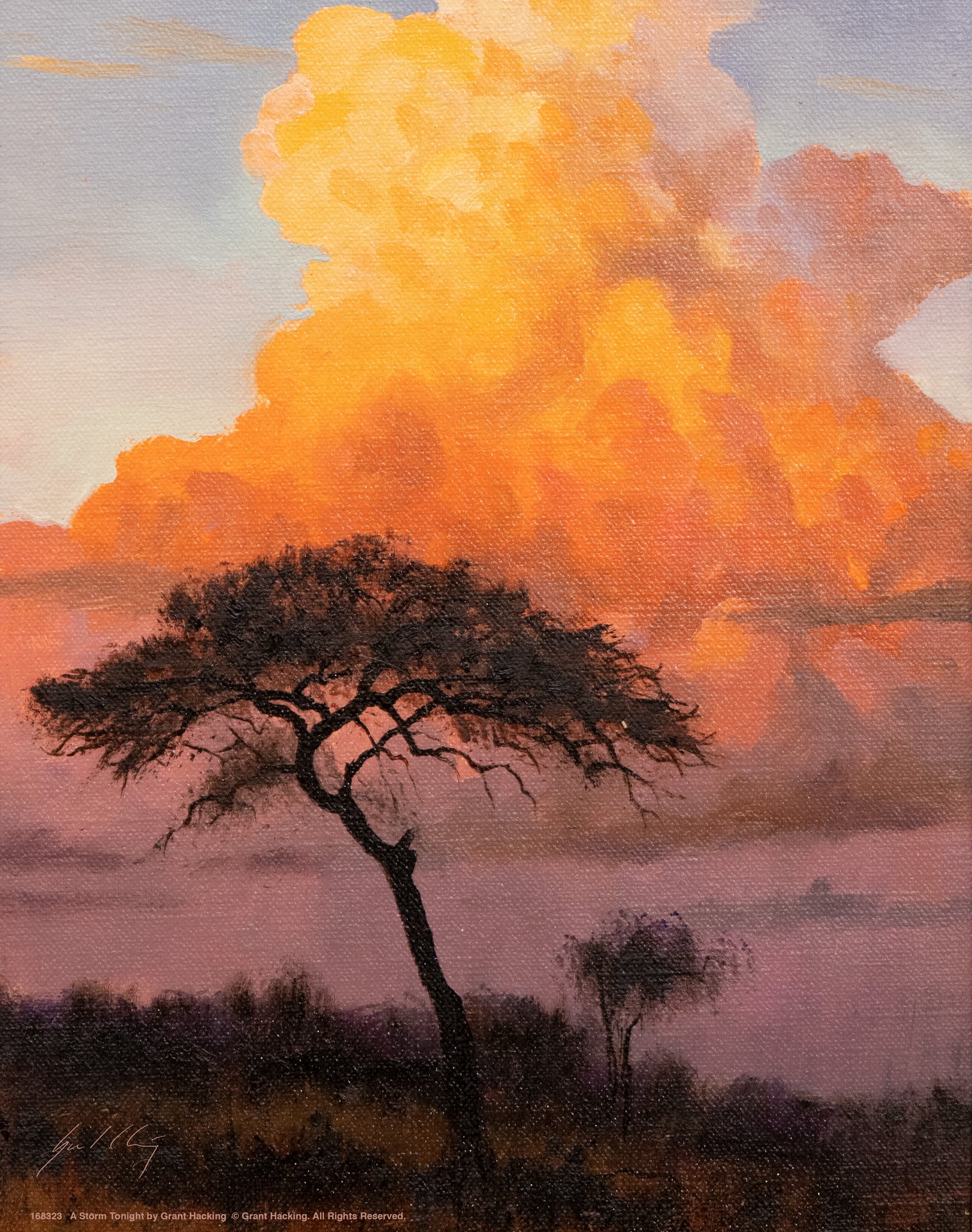 A Storm Tonight - Art Prints