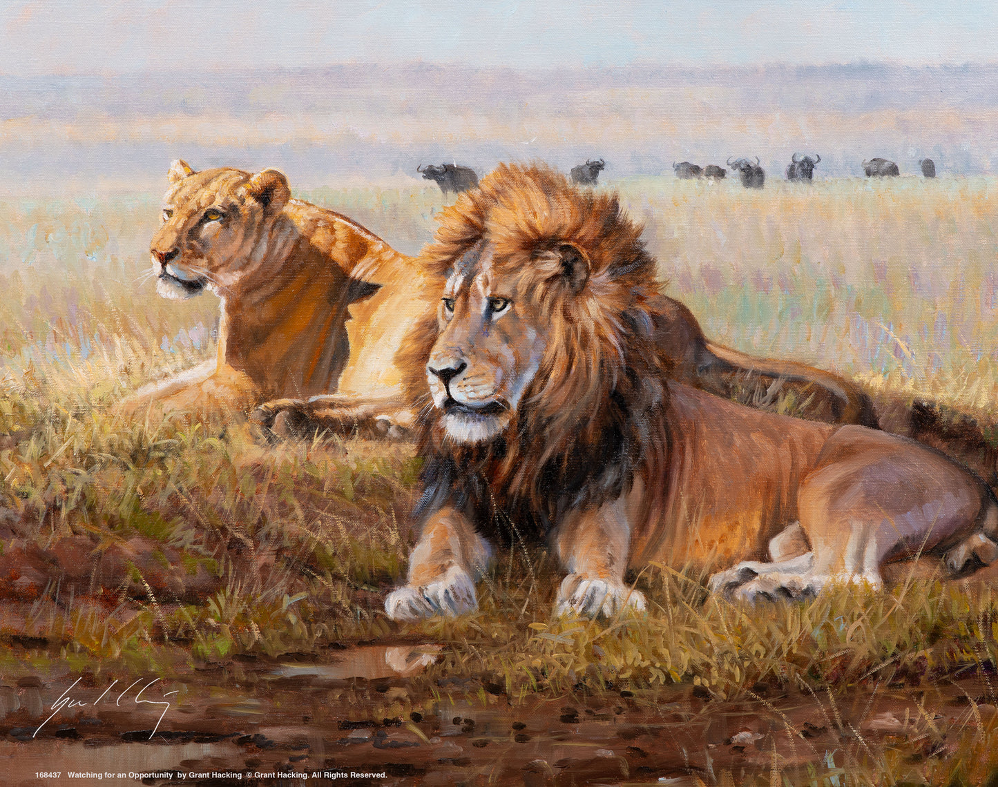 Watching for an Opportunity - Art Prints