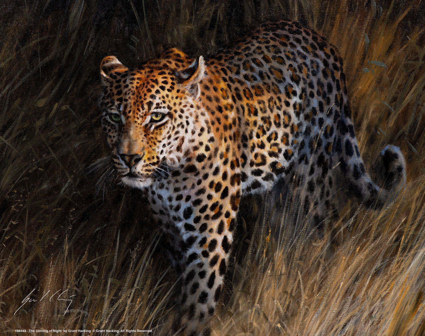 The Coming of Night - Art Prints