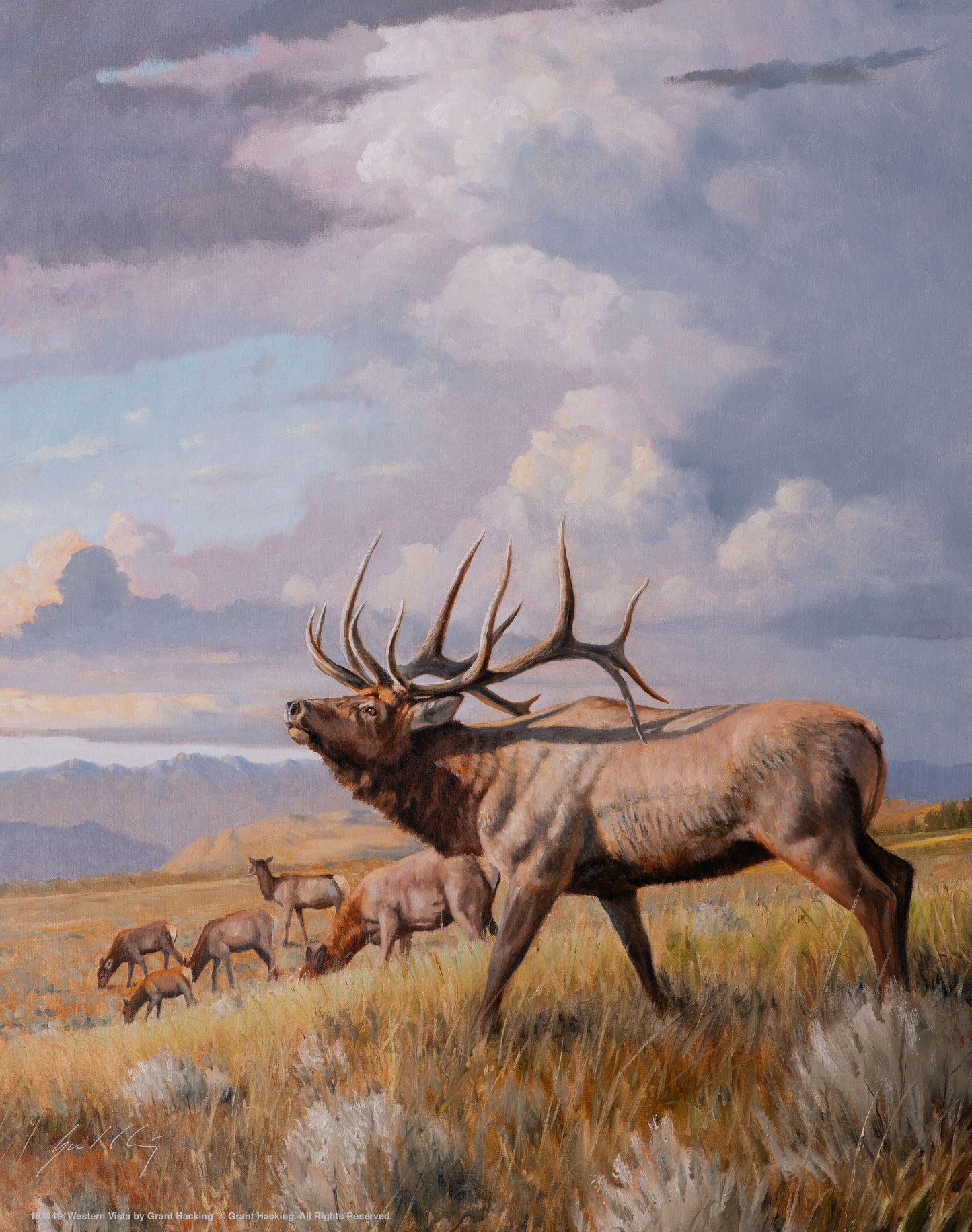 Western Vista_Art Prints