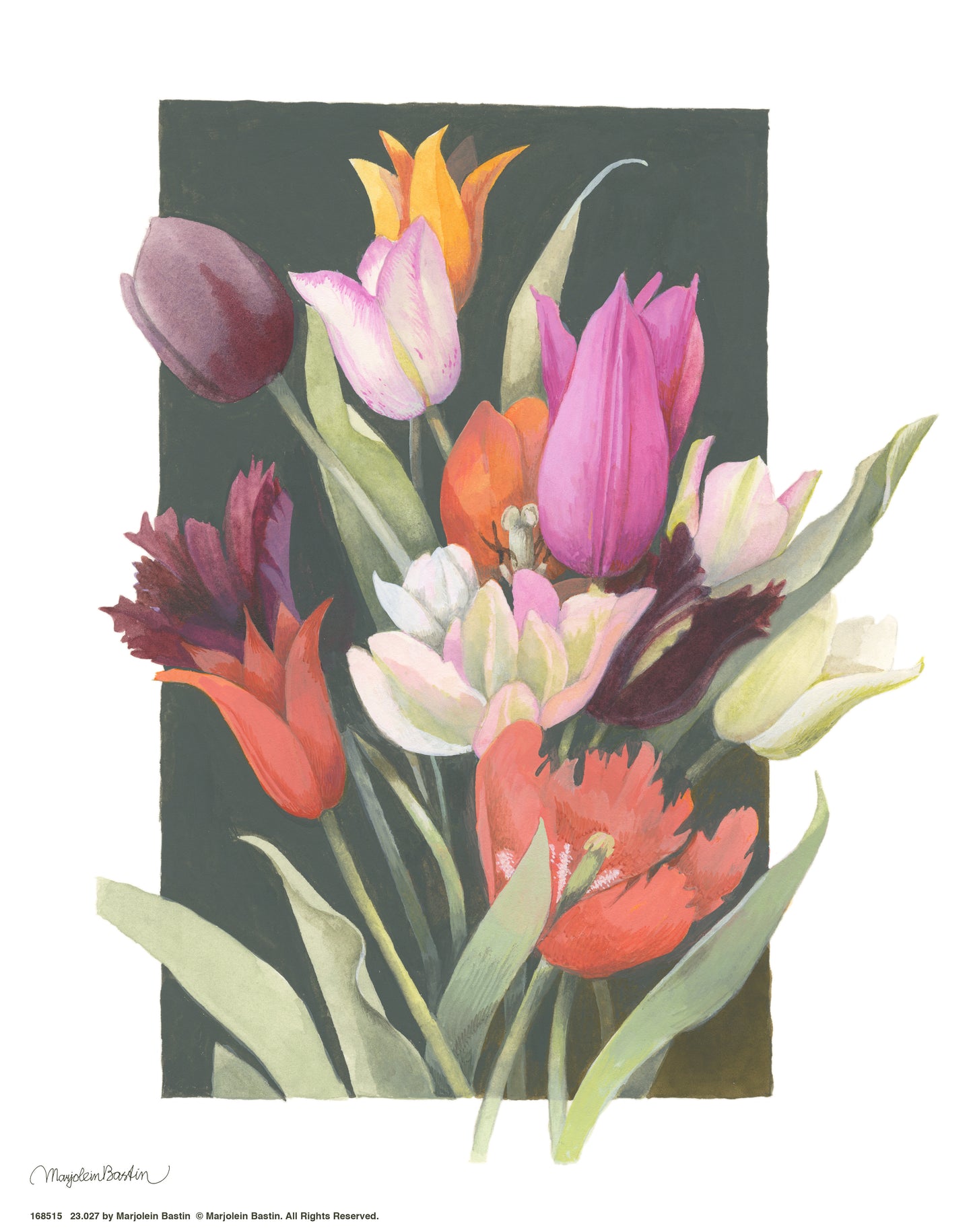 Vibrant Tulips_Art Prints