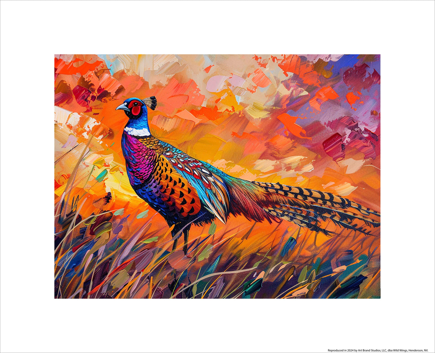 Sunset Splendor - Pheasant - Art Prints