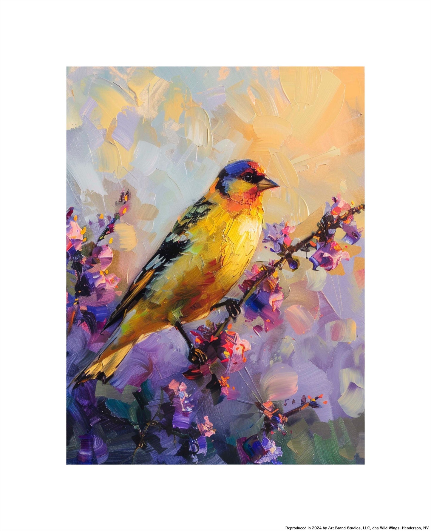 Sunset Serenade - American Goldfinch - Art Prints