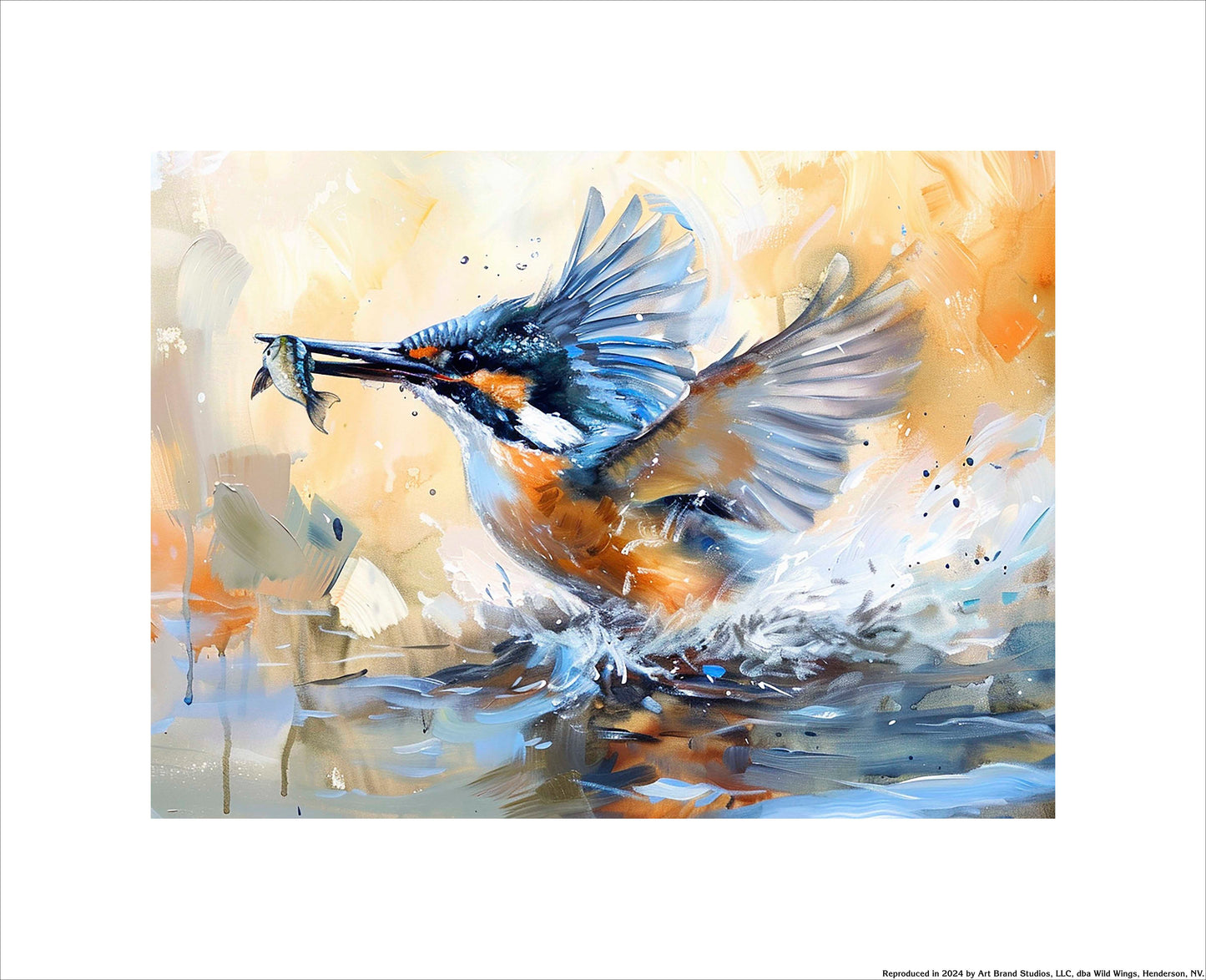 Ripple Effect - Belted Kingfisher - Art Prints
