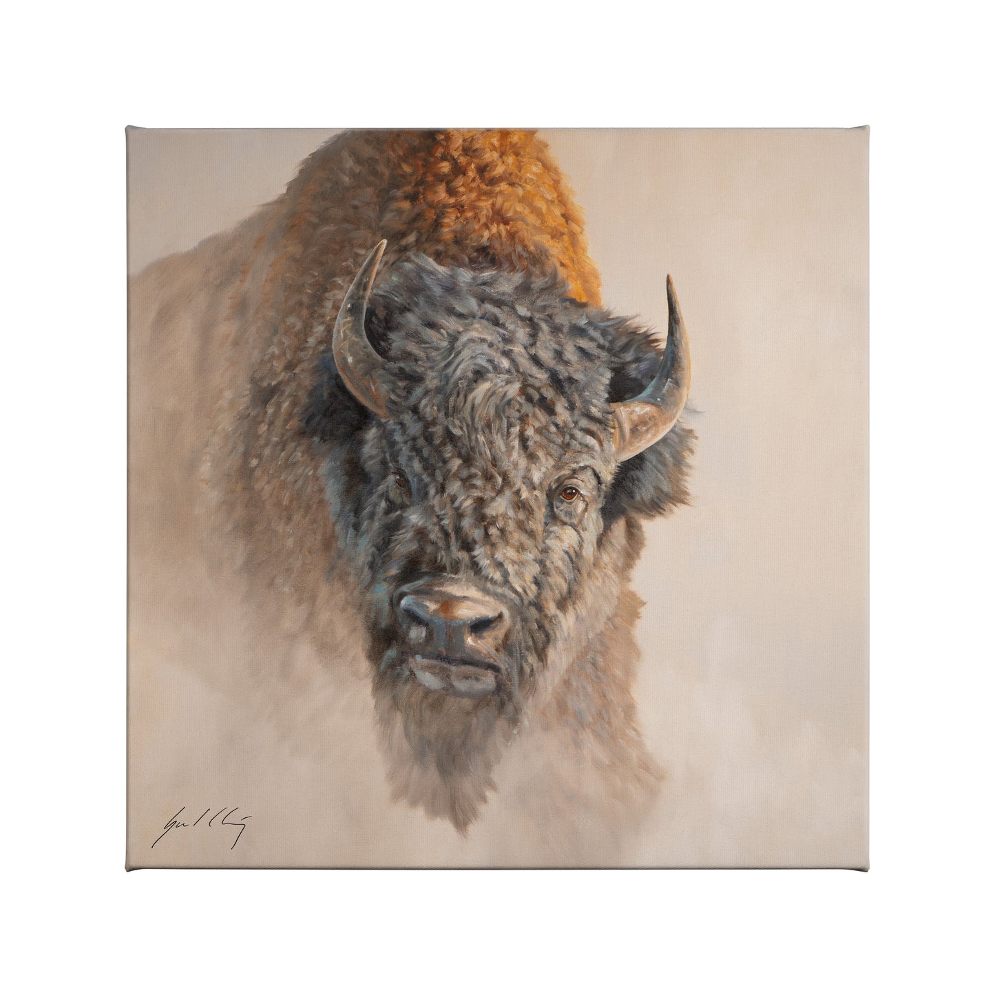 Shaking Off the Dust - 14" x 14" Gallery Wrapped Canvas