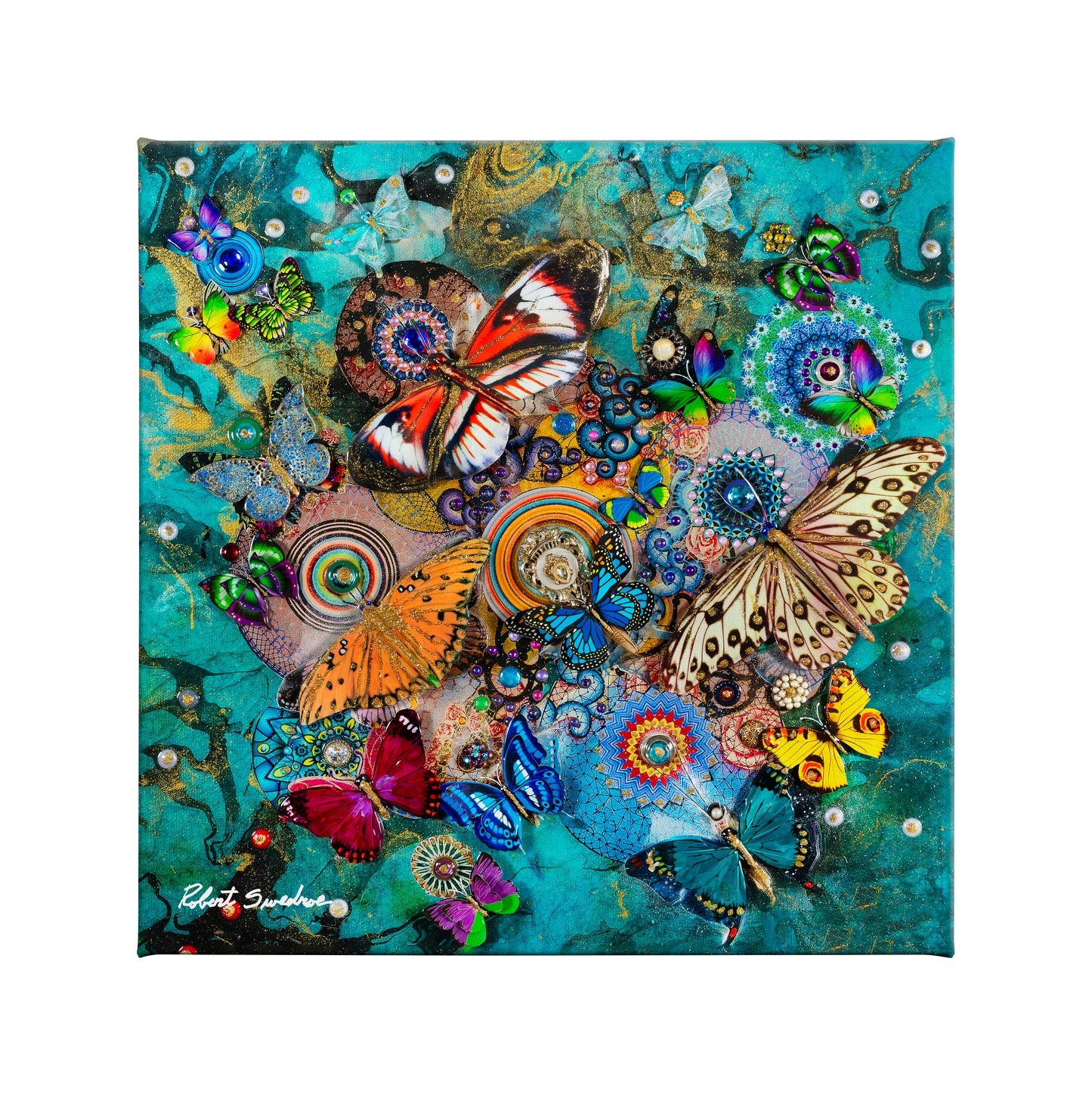 Butterflies From Across the Sea - 14" x 14" Gallery Wrapped Canvas