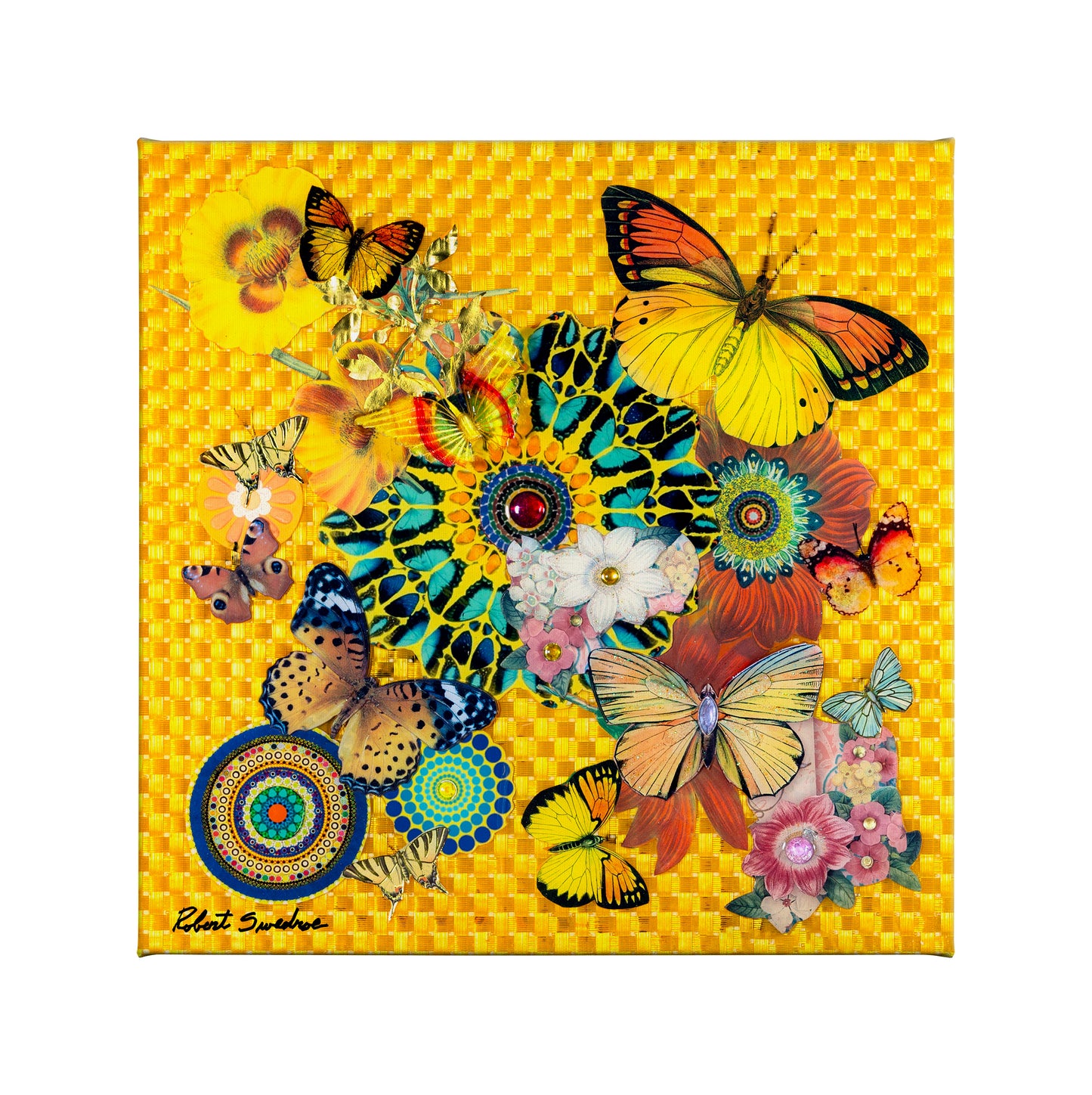 Butterfly Dance - 14" x 14" Gallery Wrapped Canvas