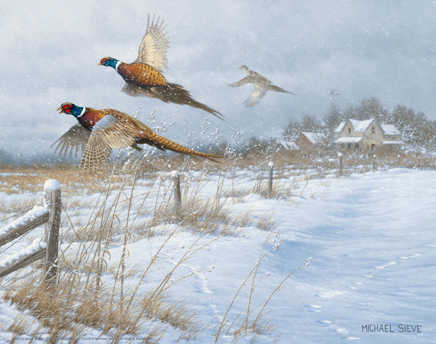 Snow Birds - Pheasants - Art Prints