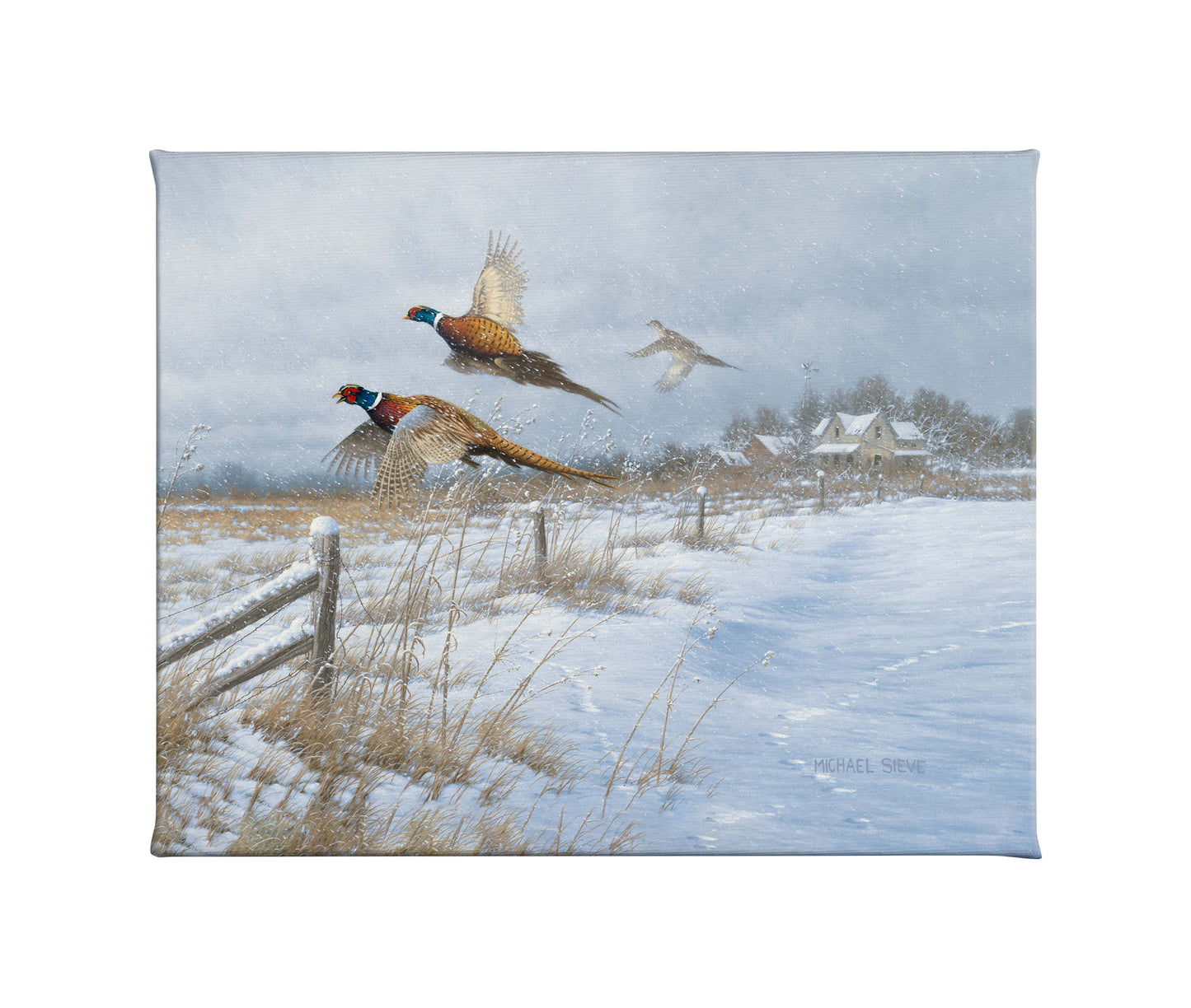 Snow Birds - Pheasants - 16" x 20.5" Gallery Wrapped Canvas