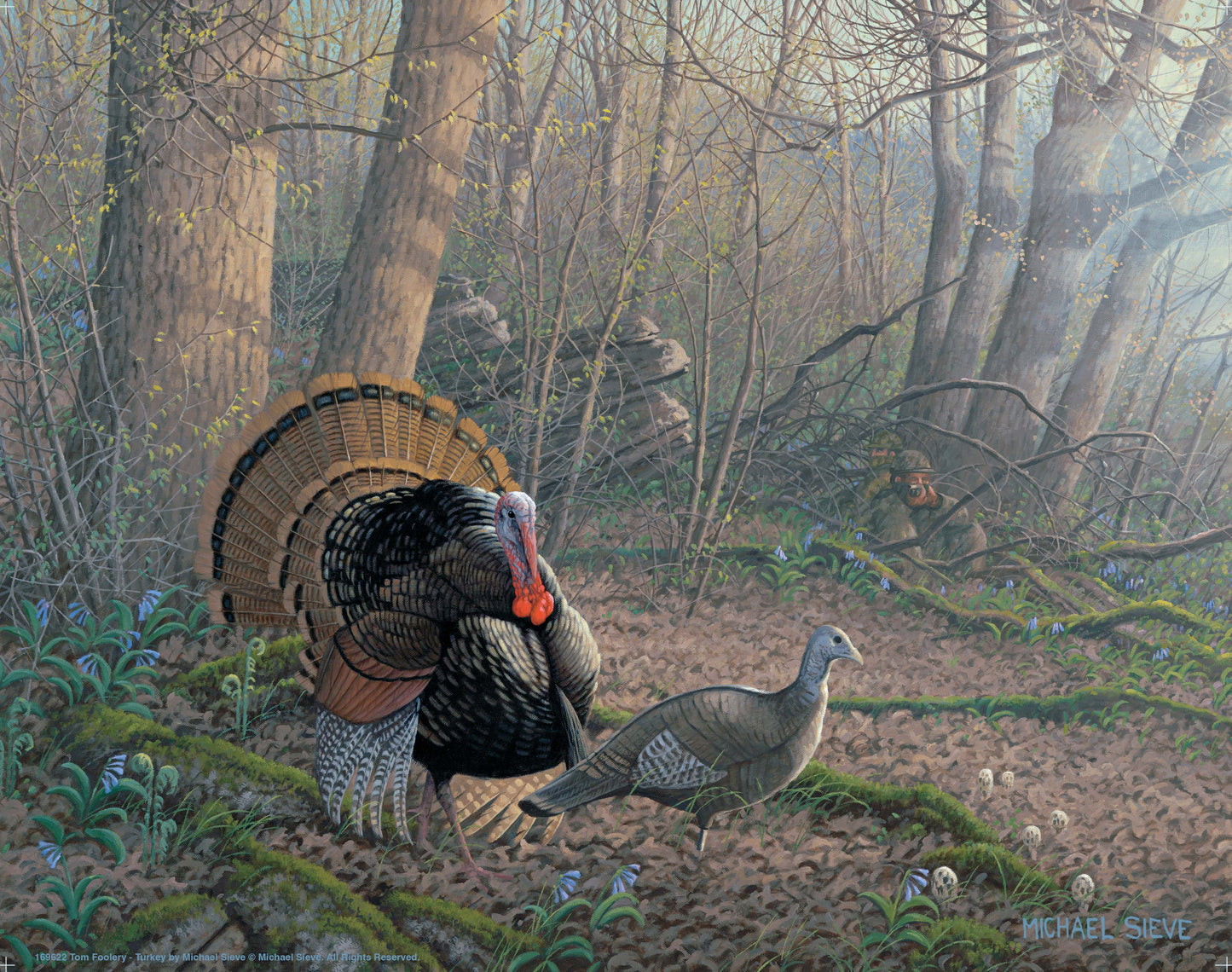 Tom Foolery - Turkeys - Art Prints