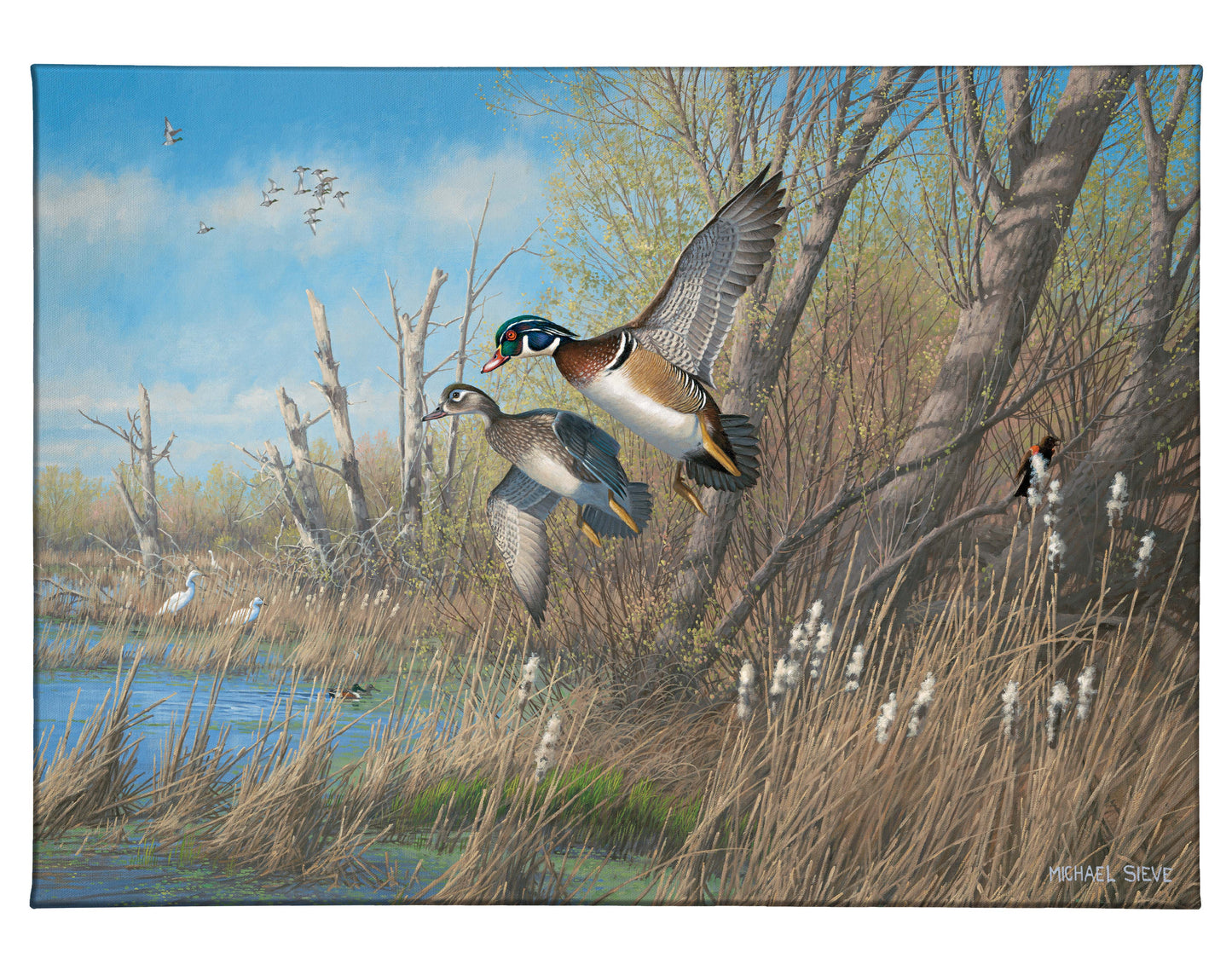 Sunday's Best Wood Ducks - 13" x 18" Gallery Wrapped Canvas