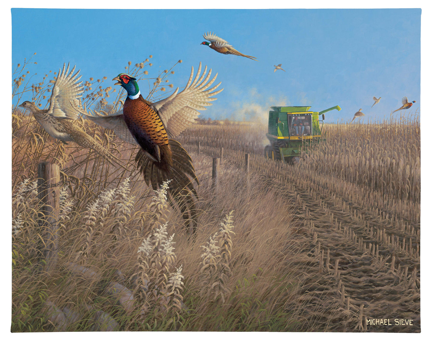 Flying Colors - Pheasants - 19" x 24" Gallery Wrapped Canvas