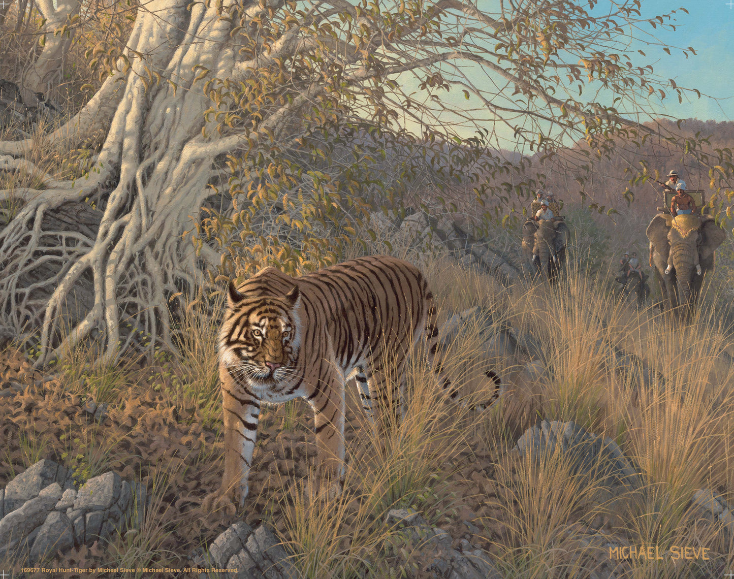 Royal Hunt - Tiger - Art Prints