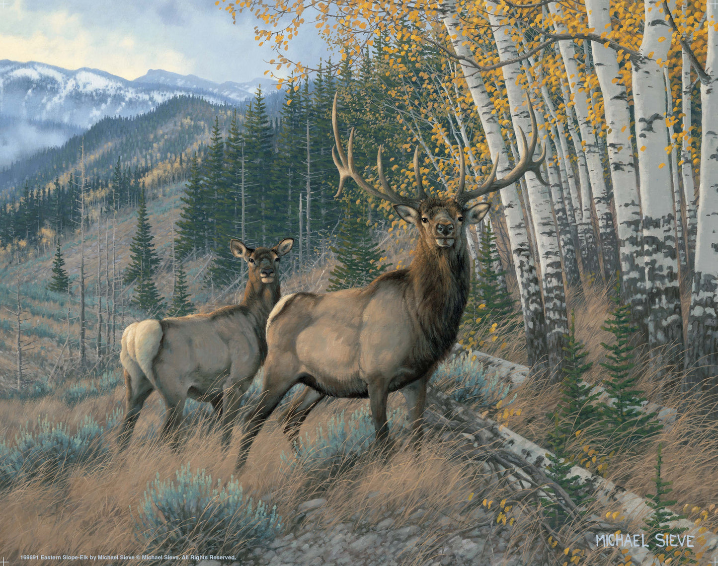 Eastern Slope - Elk - Art Prints