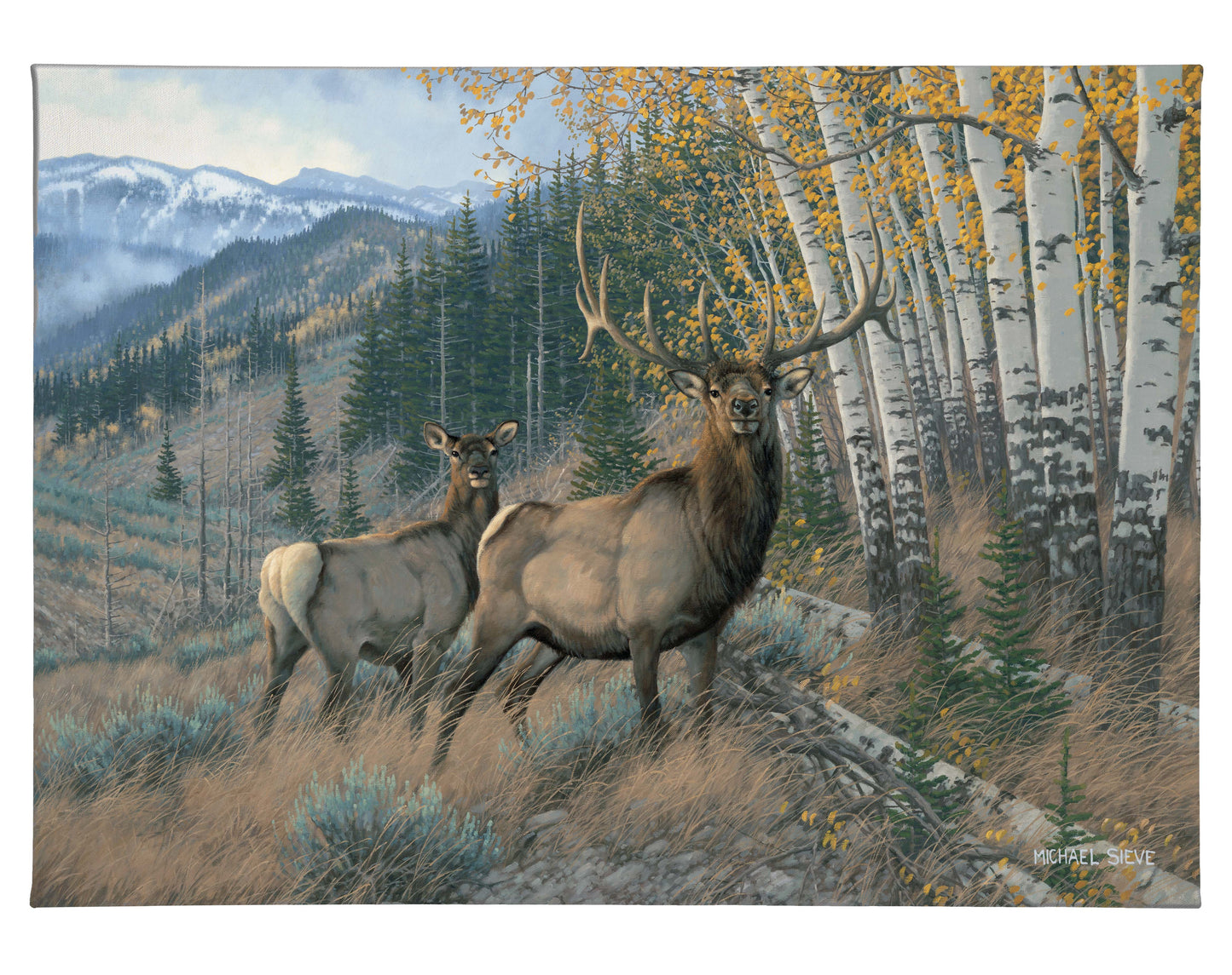Eastern Slope - Elk - 13" x 18" Gallery Wrapped Canvas