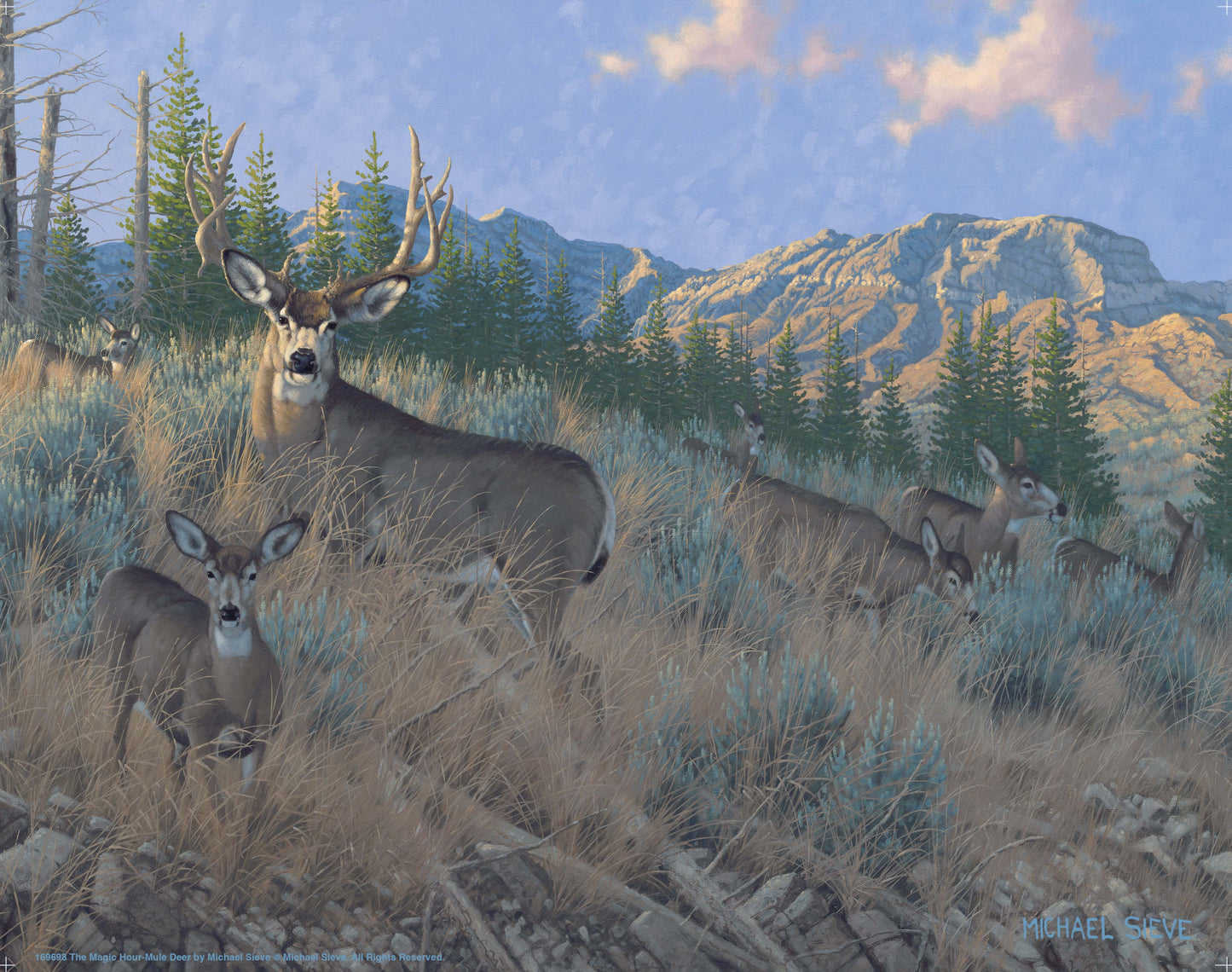 Magic Hour - Mule Deer - Art Prints