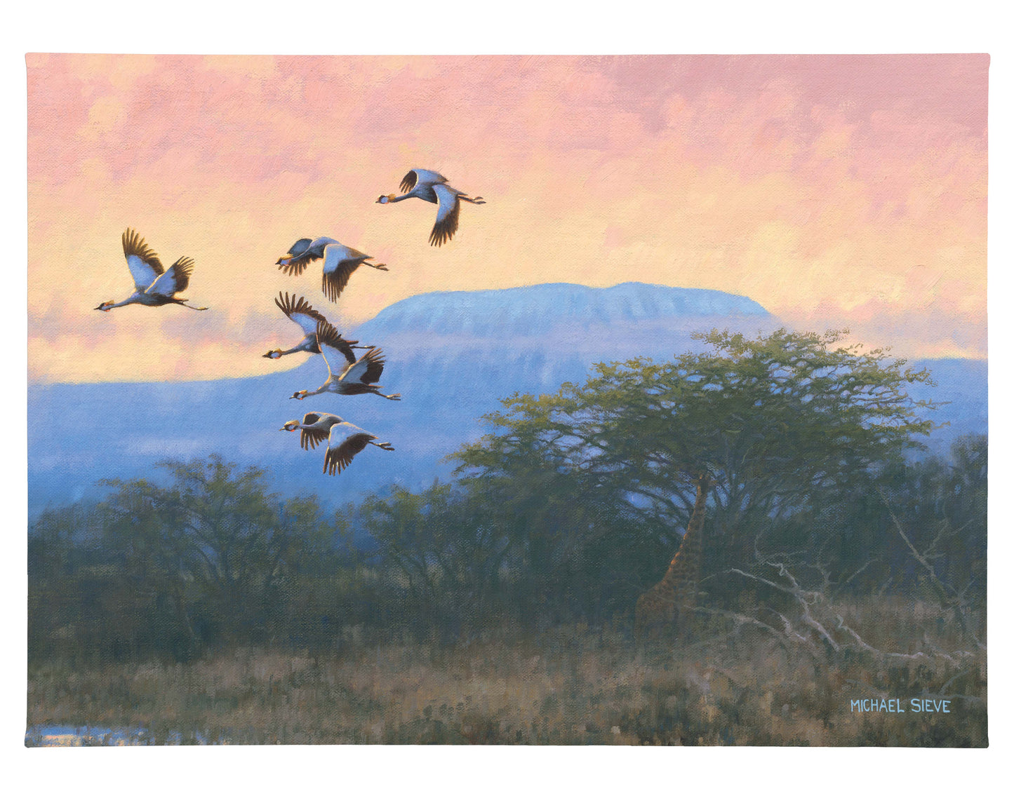 Crowned Cranes - 13" x 18" Gallery Wrapped Canvas