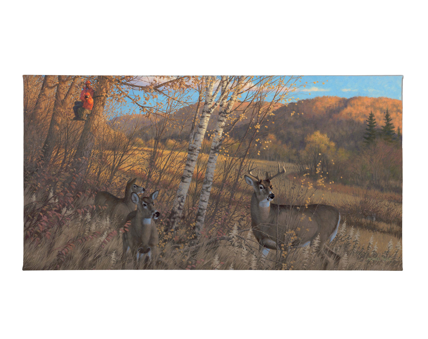 Zone 3 Youth Season Deer - 16" x 31" Gallery Wrapped Canvas