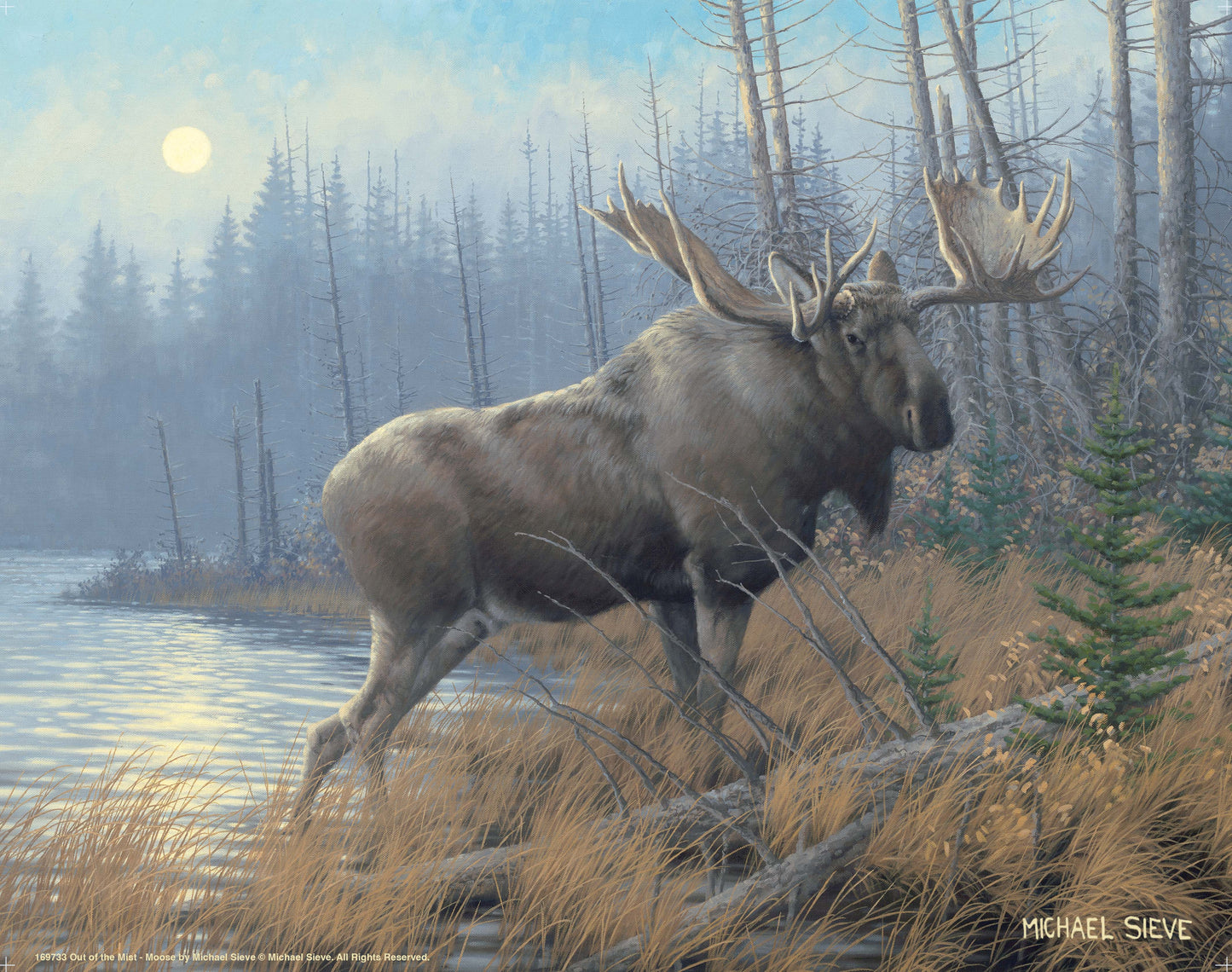 Out of the Mist Moose - Art Prints