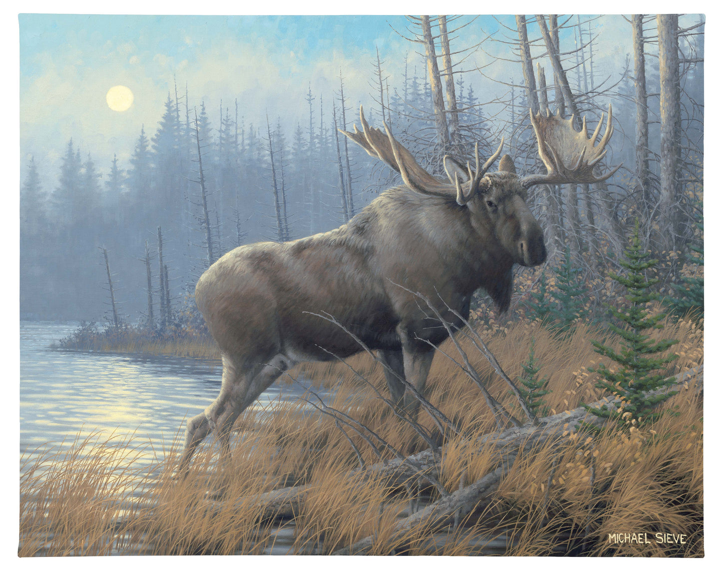 Out of the Mist Moose - 19" x 24" Gallery Wrapped Canvas