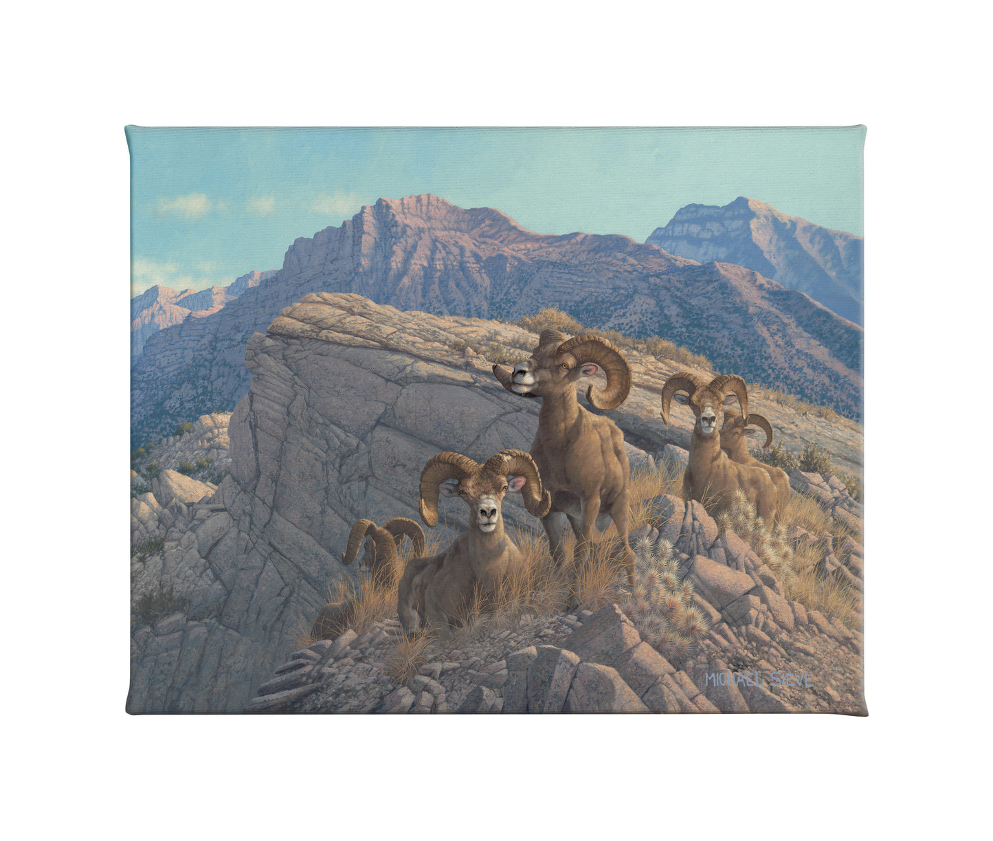 Desert Kings - Desert Bighorn - 16" x 20.5" Gallery Wrapped Canvas