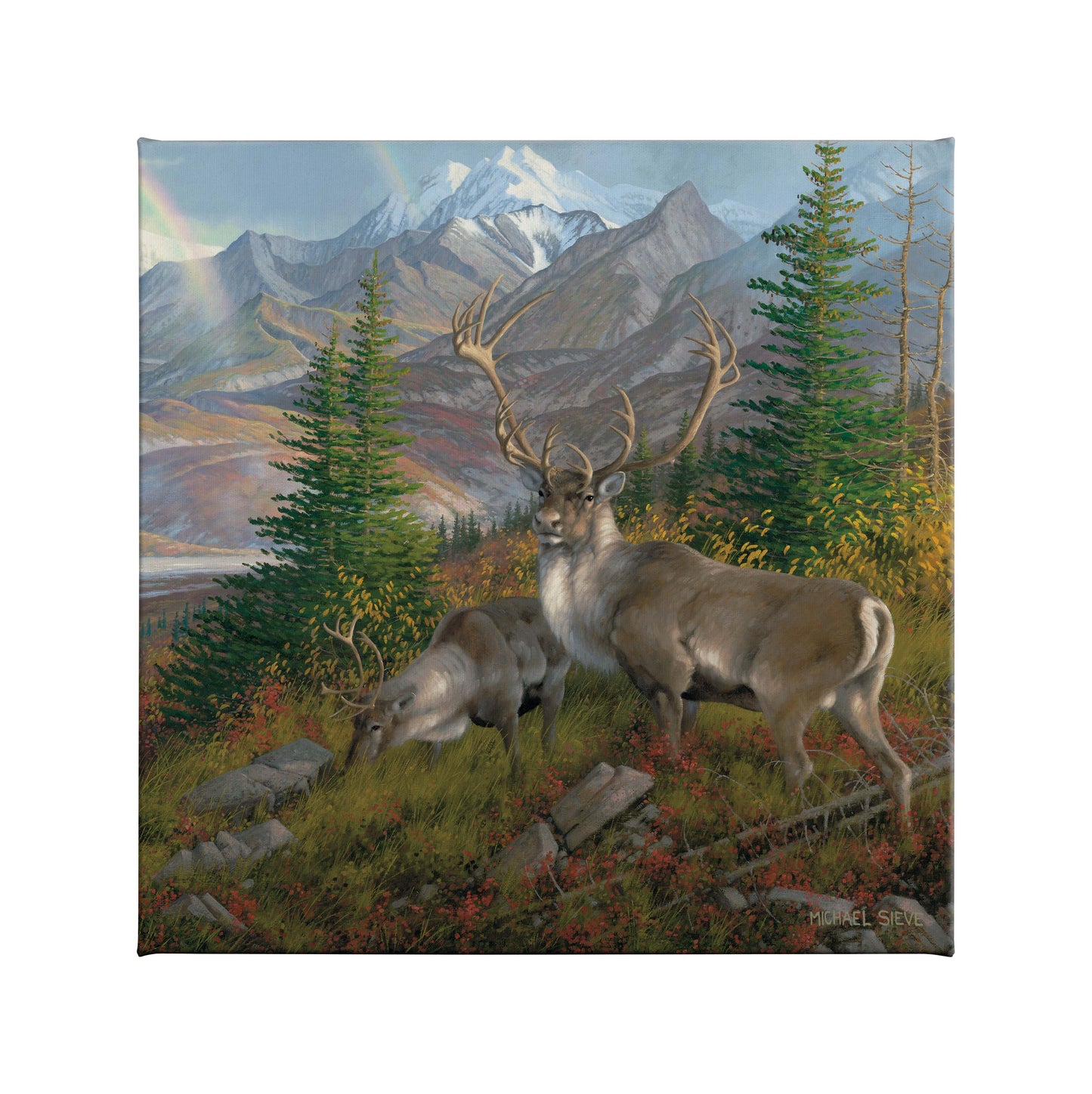 The Great One - Caribou - 14" x 14" Gallery Wrapped Canvas