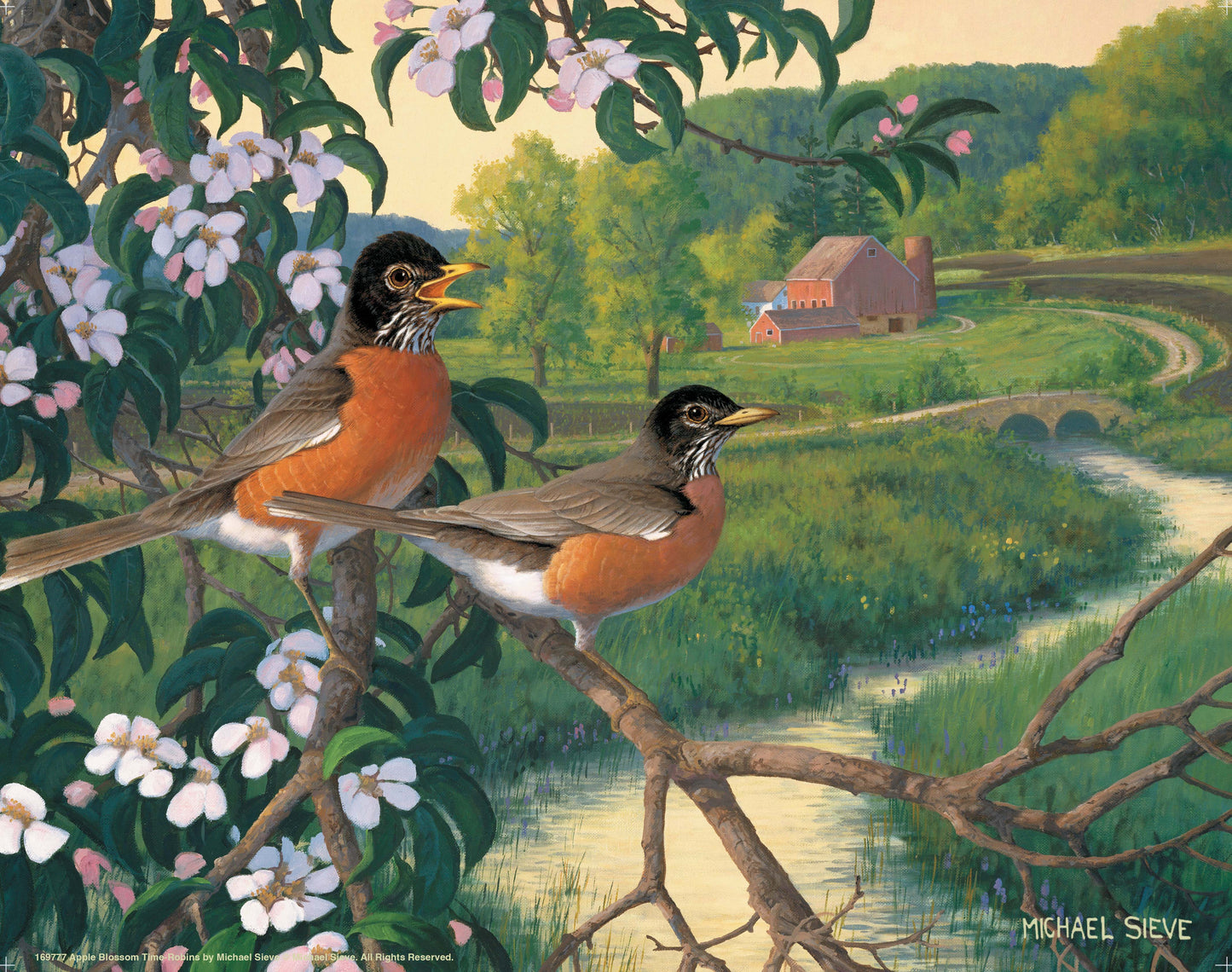 Apple Blossom Time Robins - Art Prints