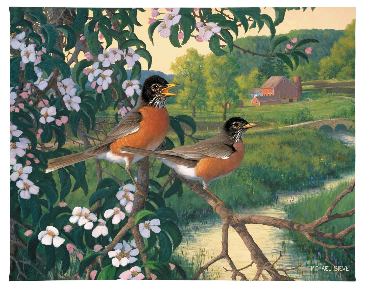 Apple Blossom Time Robins - 19" x 24" Gallery Wrapped Canvas