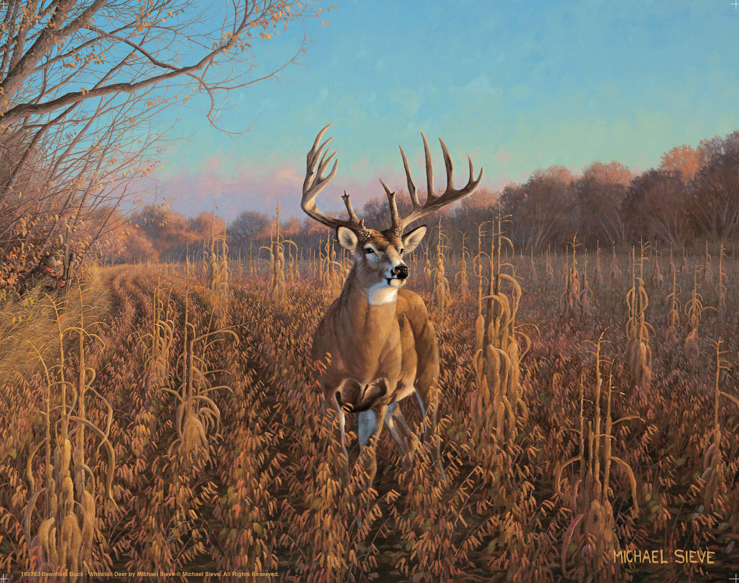Beanfield Buck Whitetail Deer - Art Prints