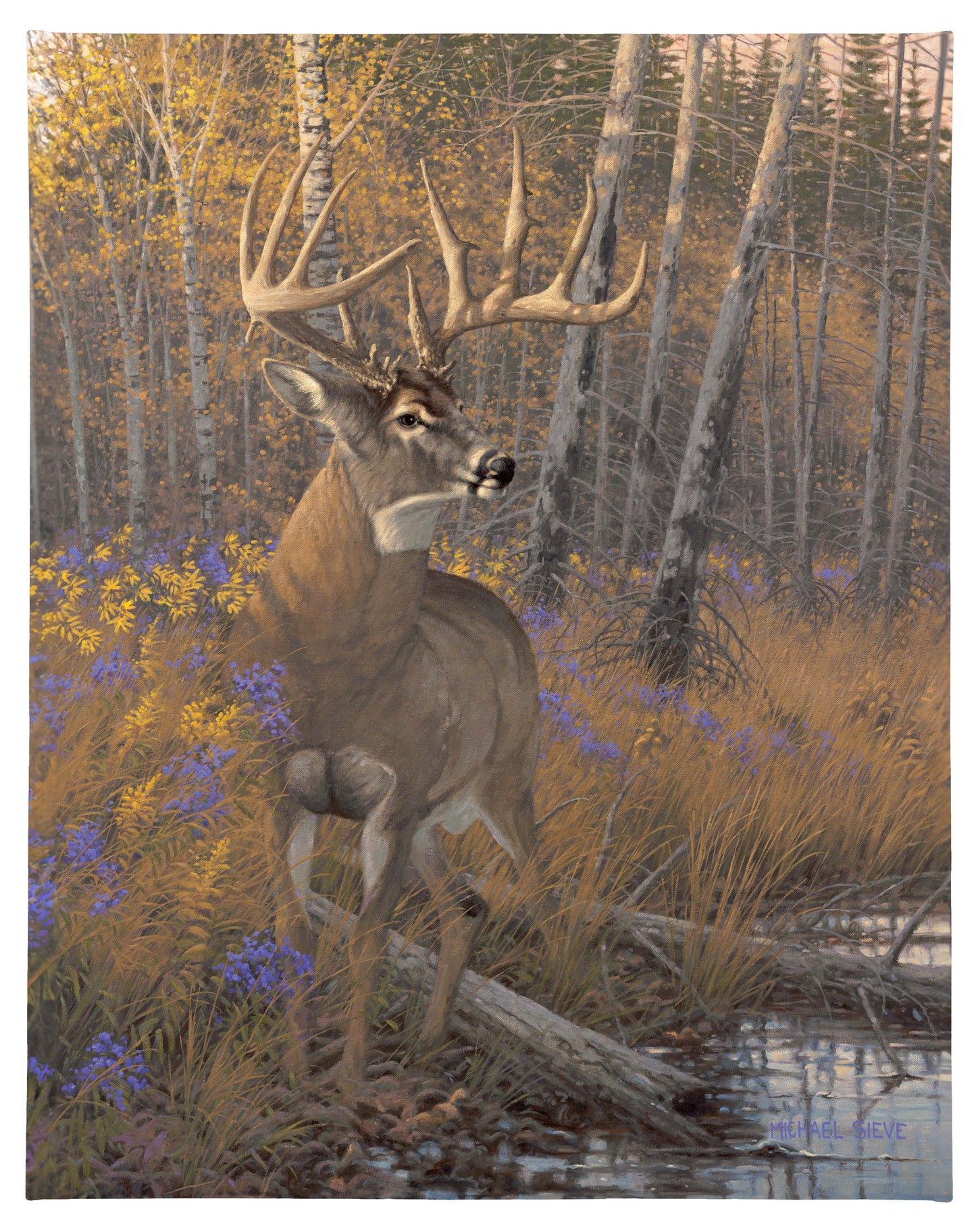 Border Wars Breen Buck - 19" x 24" Gallery Wrapped Canvas
