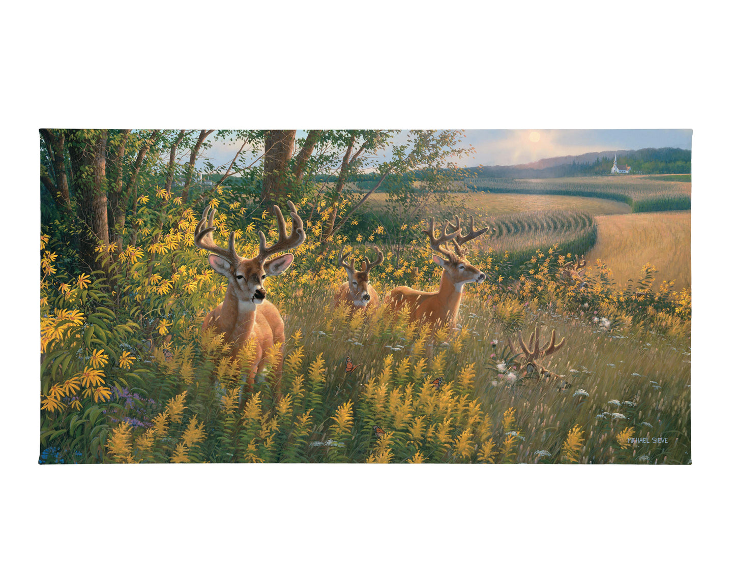 Boys of Summer Whitetail Deer - 16" x 31" Gallery Wrapped Canvas