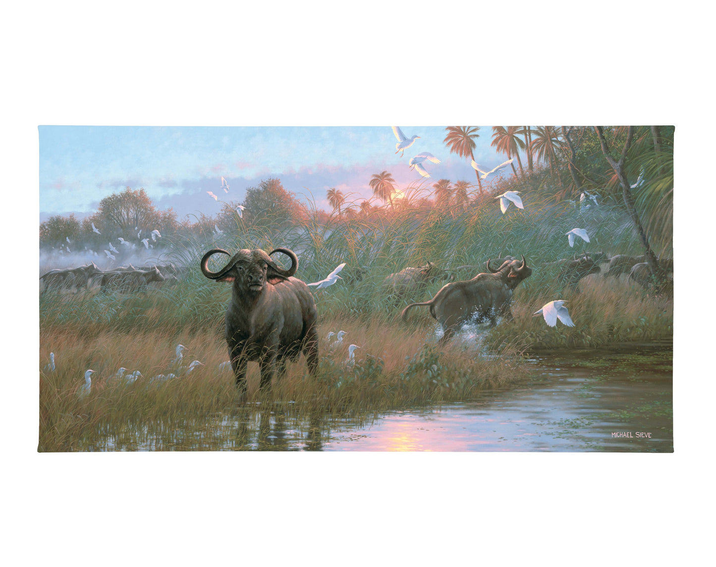 Cape Buffalo - 16" x 31" Gallery Wrapped Canvas