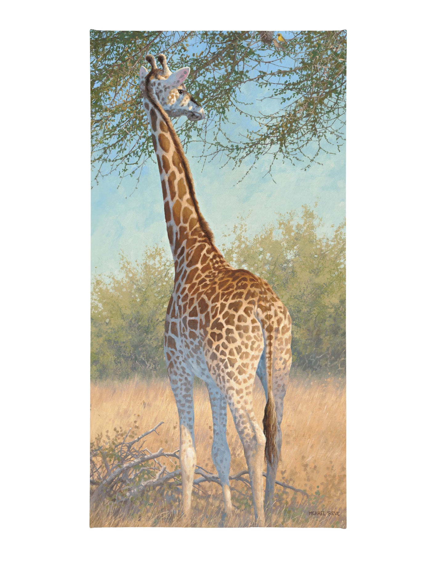169869_Giraffe_16x31_CGW_Mocked_F.jpg