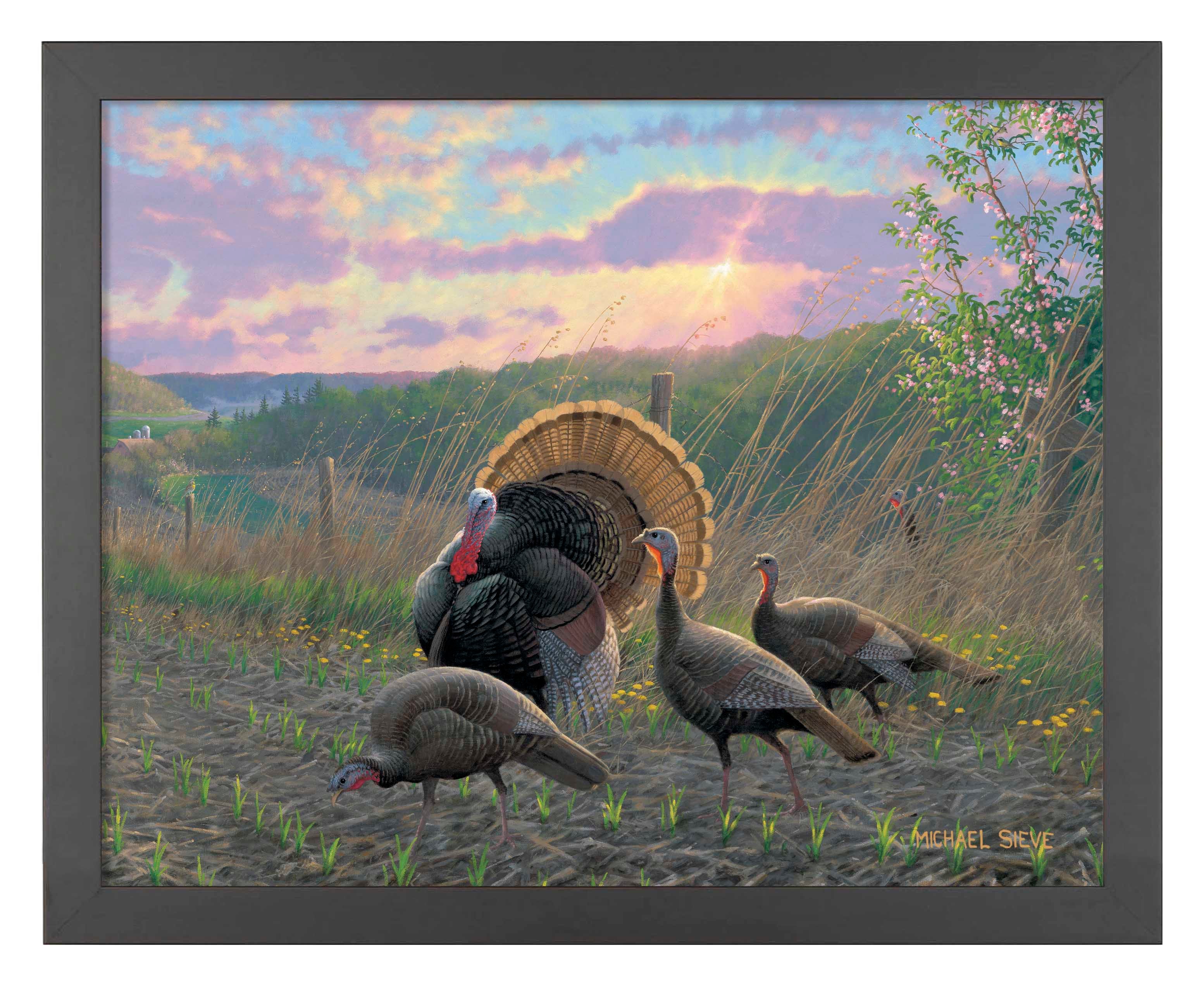 Golden Fan Club Turkeys - Art Prints Art Prints from Wild Wings