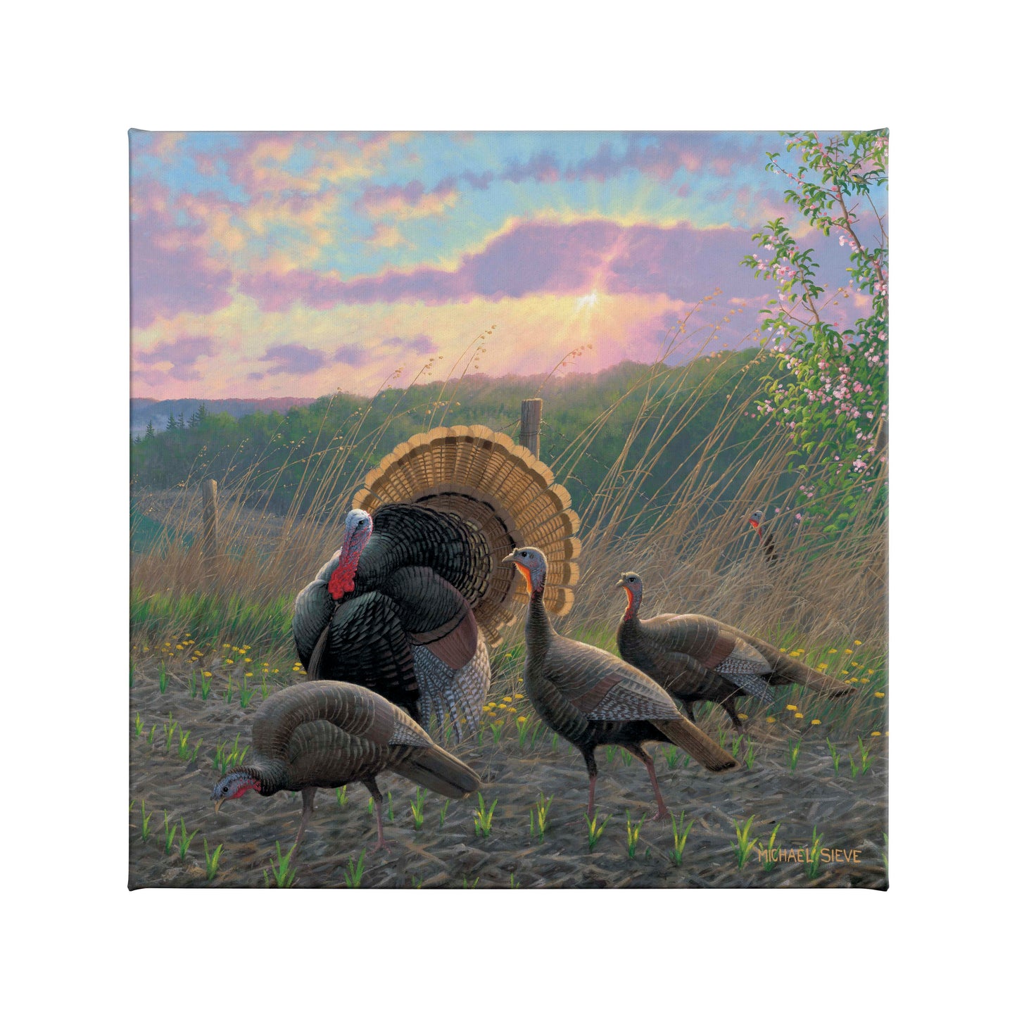 Golden Fan Club Turkeys - 14" x 14" Gallery Wrapped Canvas