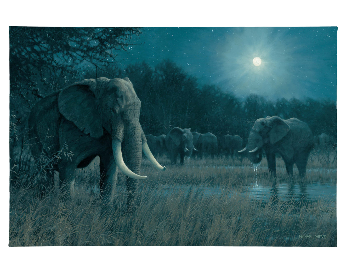 Ivory Knight - Elephants - 24" x 36" Gallery Wrapped Canvas