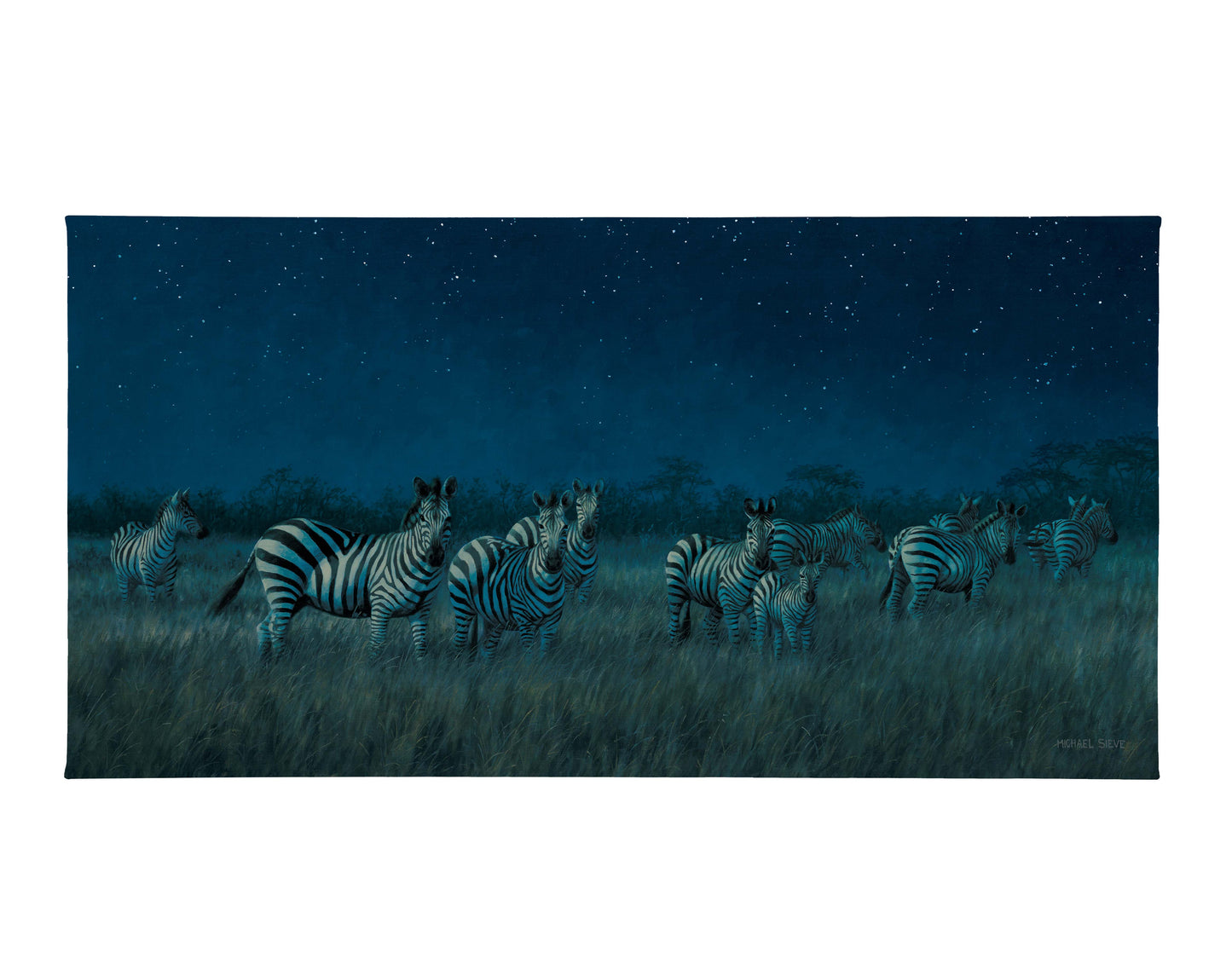 Midnight on the Serengeti - Zebras - 16" x 31" Gallery Wrapped Canvas