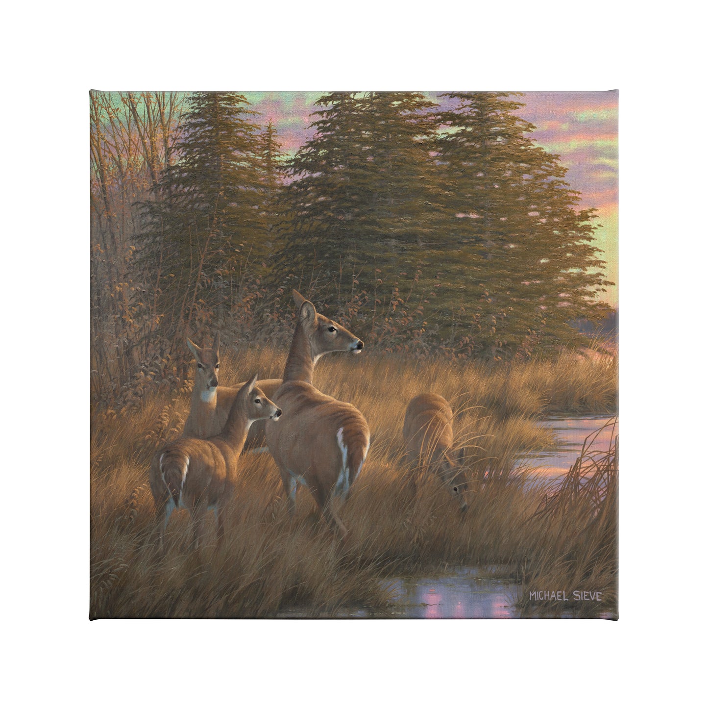 Missouri Does and Fawns - 14" x 14" Gallery Wrapped Canvas