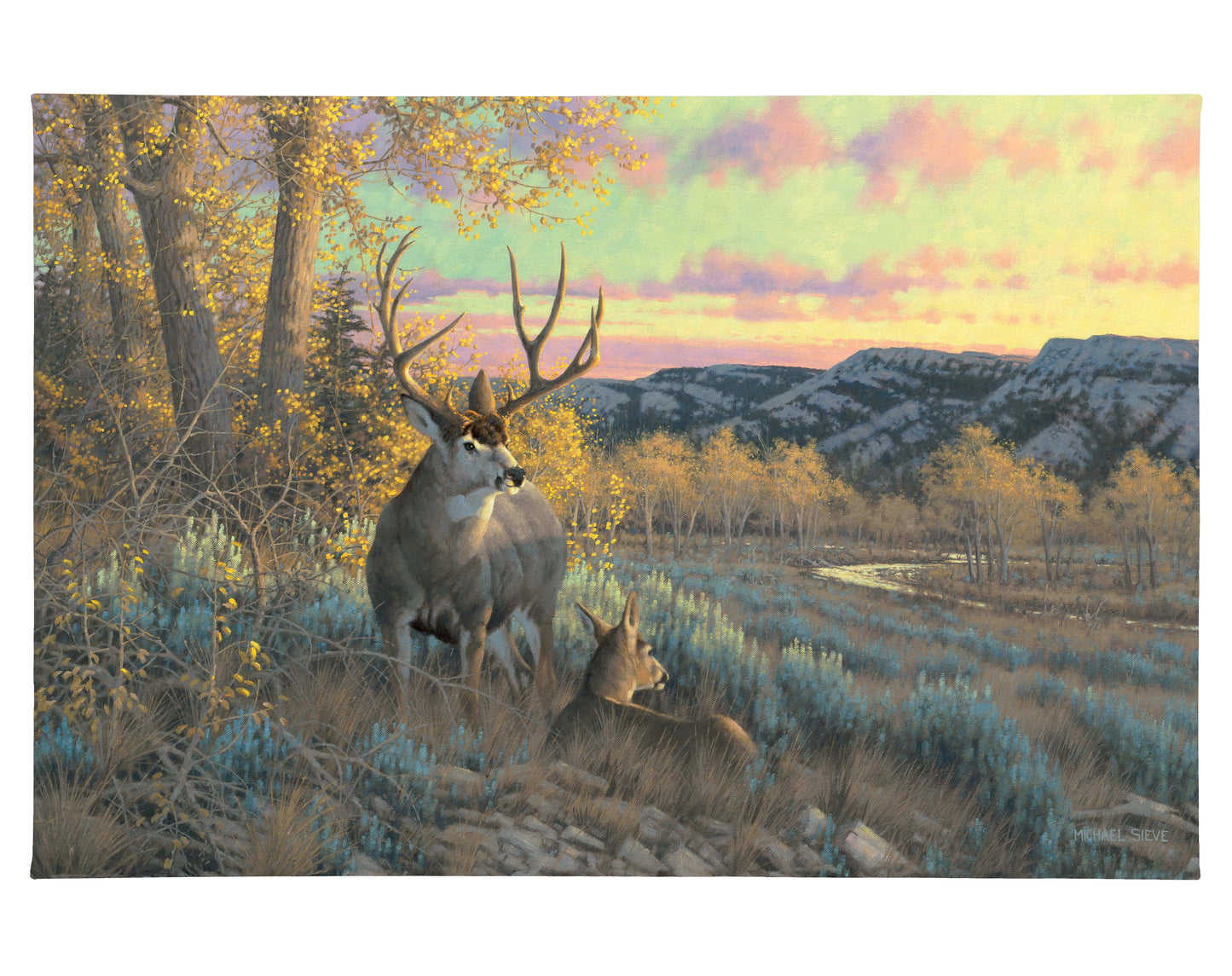 Stand With Me - Mule Deer - 24" x 36" Gallery Wrapped Canvas