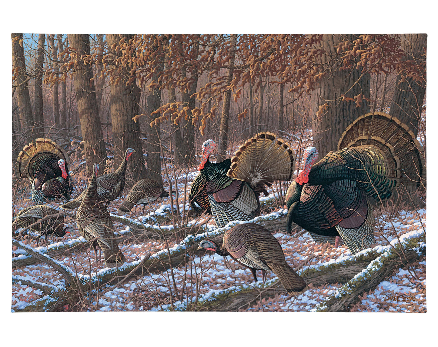 Thinkin Spring - Turkeys - 24" x 36" Gallery Wrapped Canvas