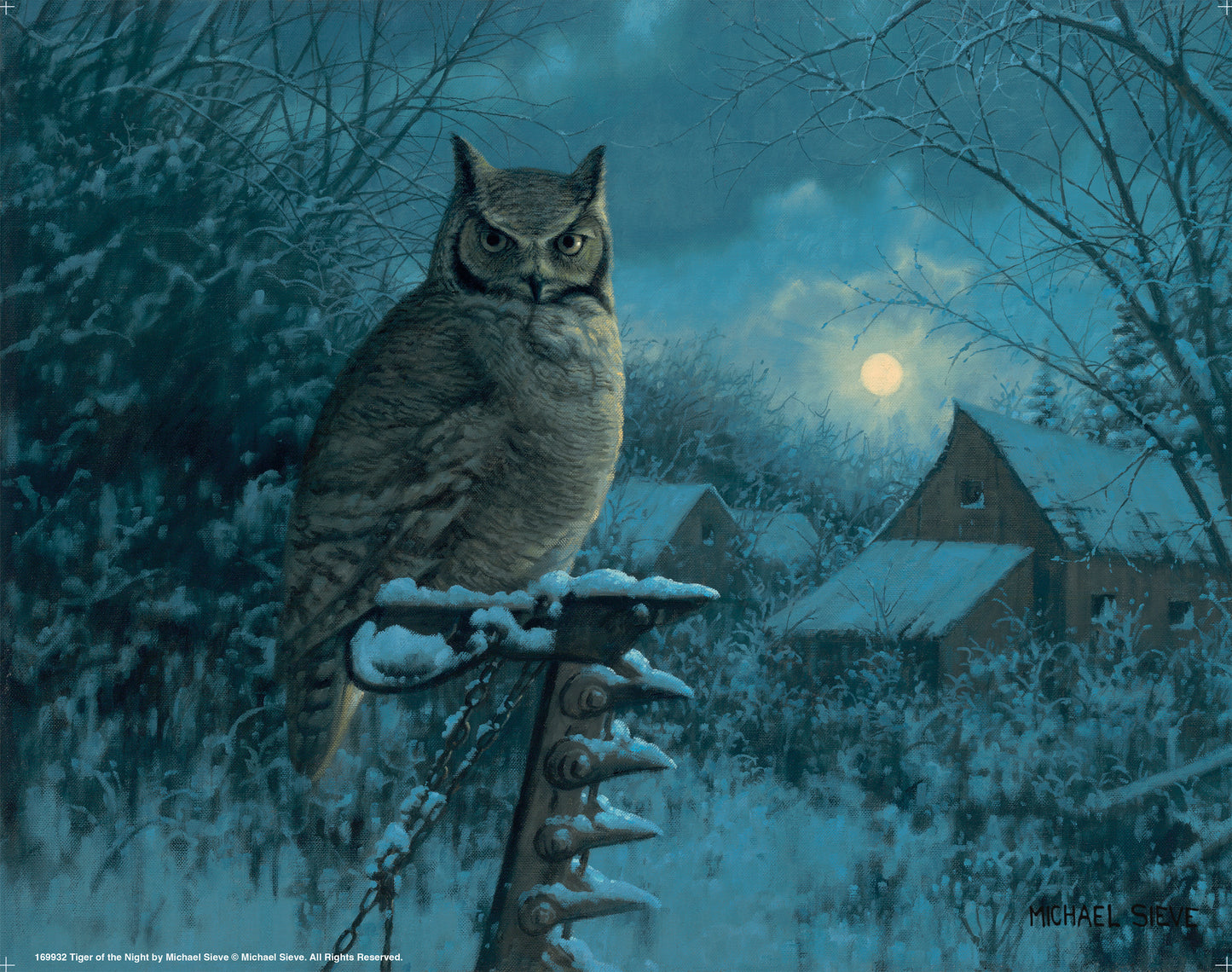 Tiger of the Night - Art Prints