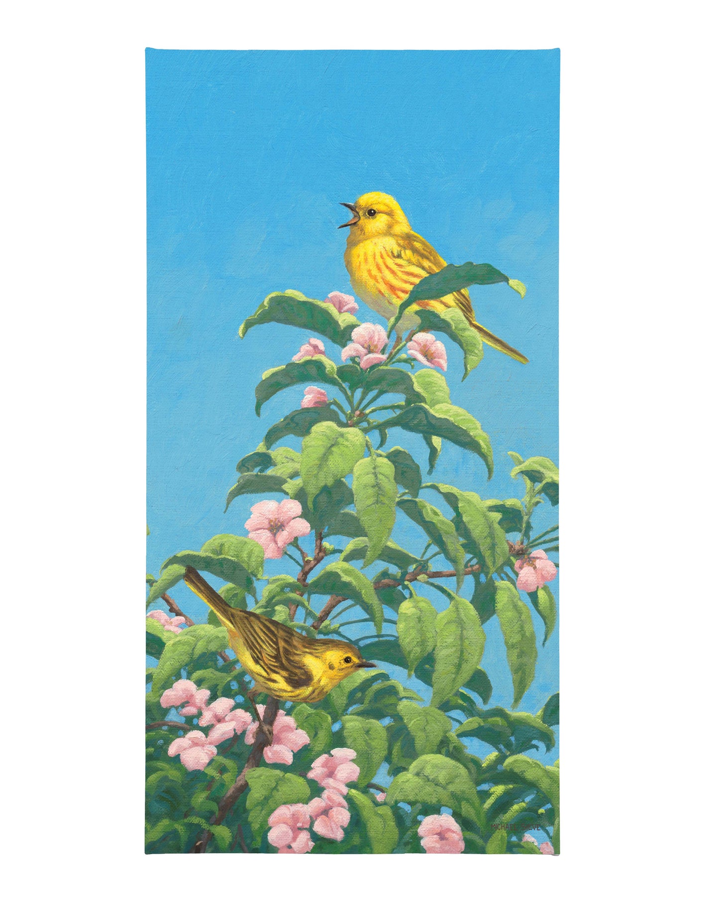 Yellow Warbler - 31" x 16" Gallery Wrapped Canvas