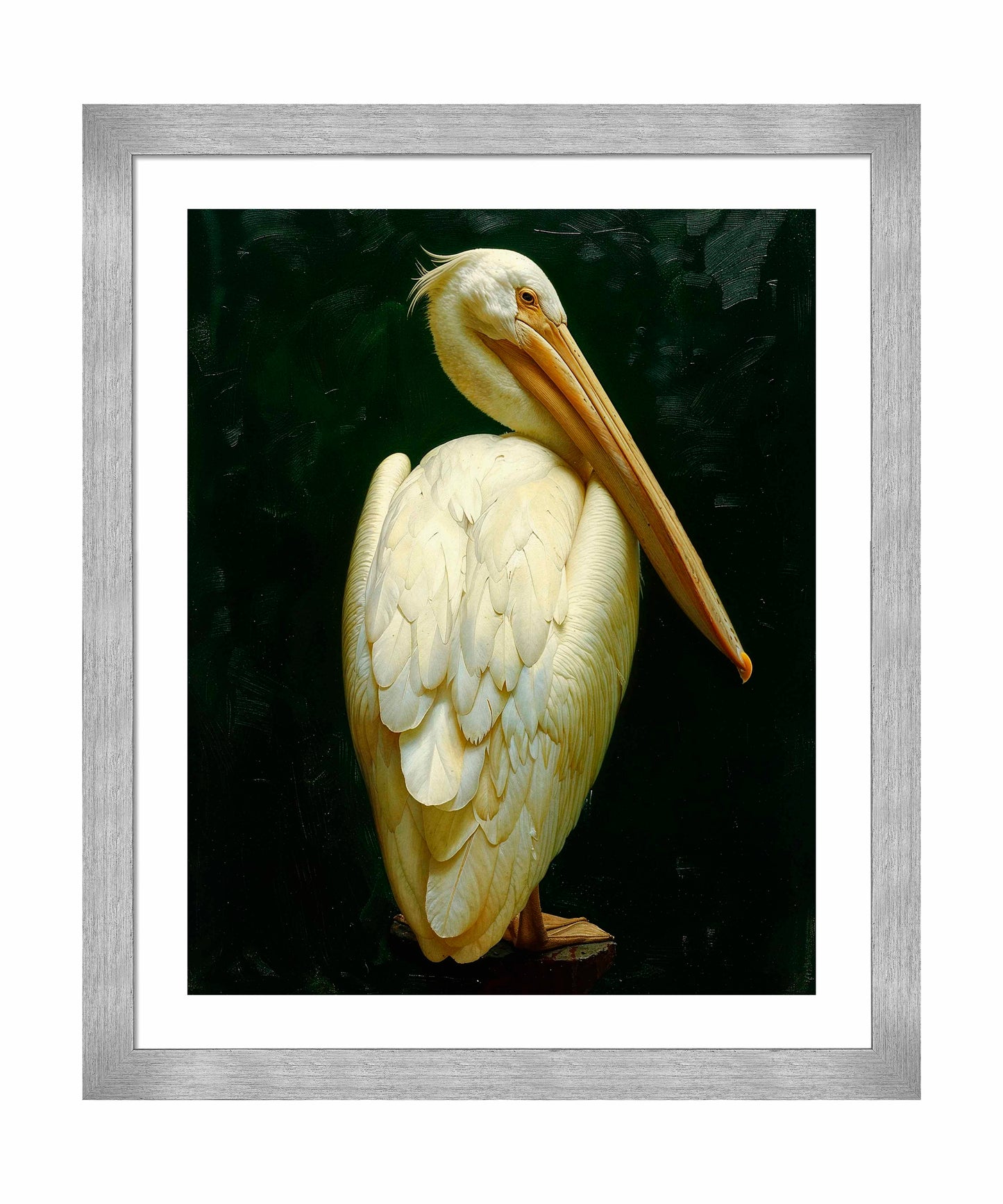 Regal Poise - Pelican in Ivory Elegance - Art Prints
