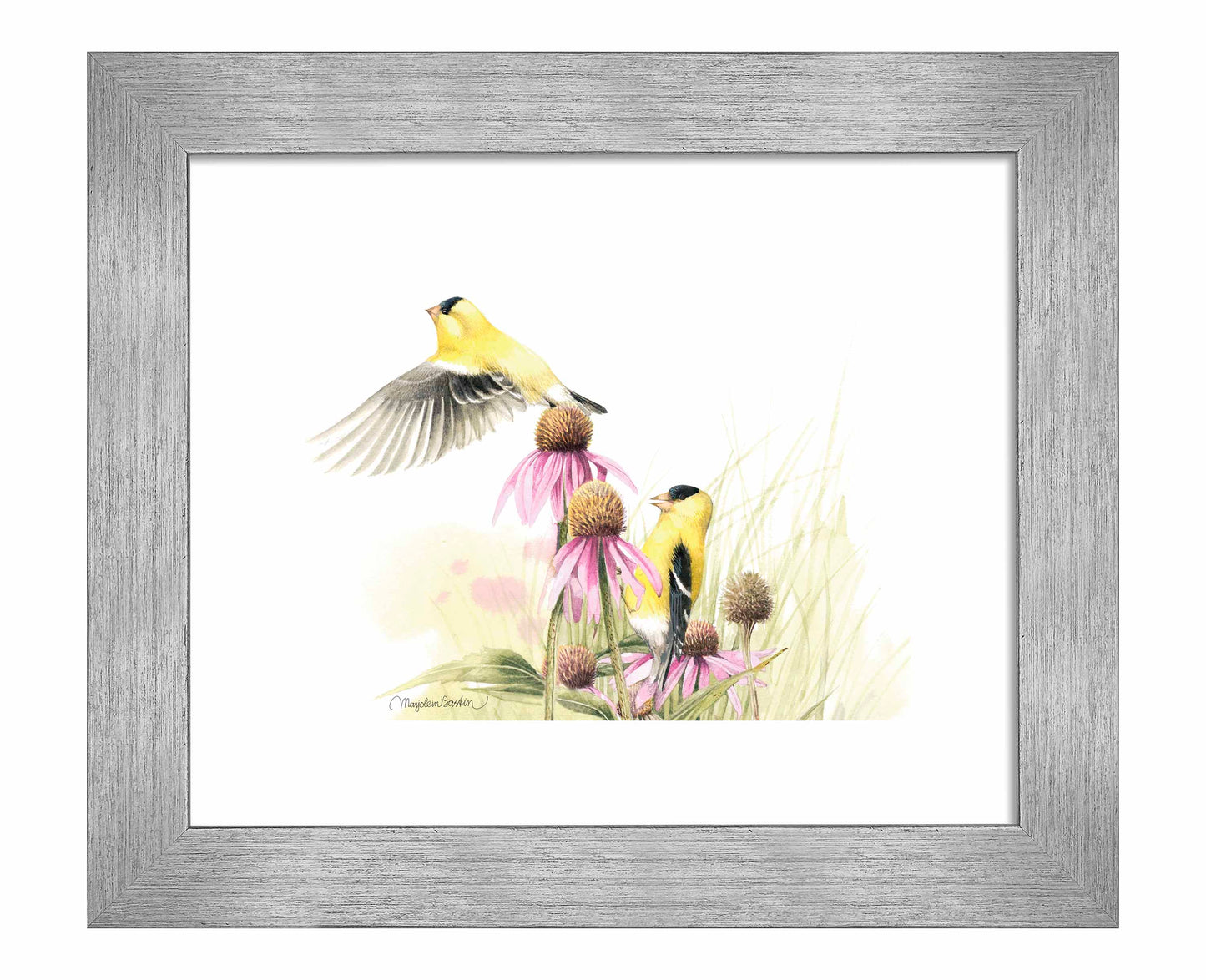 Coneflower Feast - Art Prints