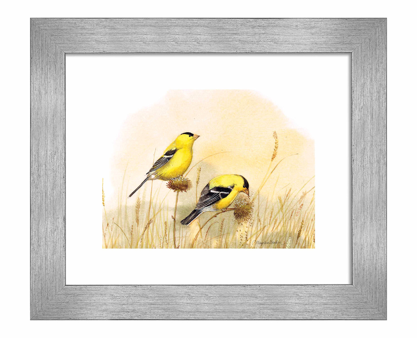 Feeding Off The Prairie - Art Prints