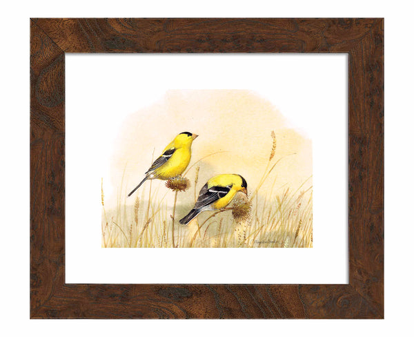 Feeding Off The Prairie - Art Prints